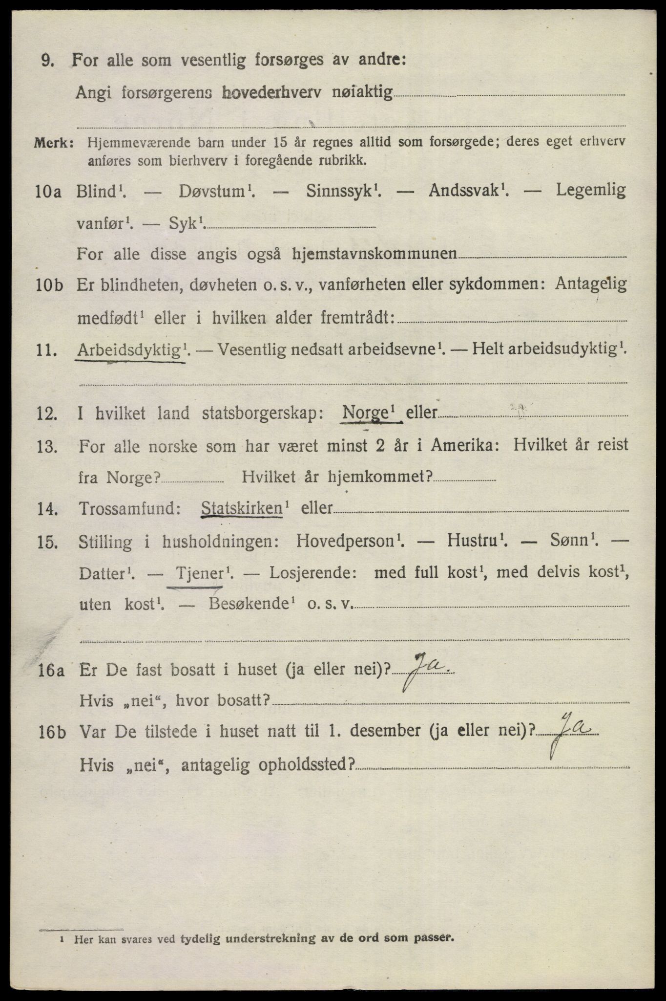 SAKO, 1920 census for Nes (Buskerud), 1920, p. 5011