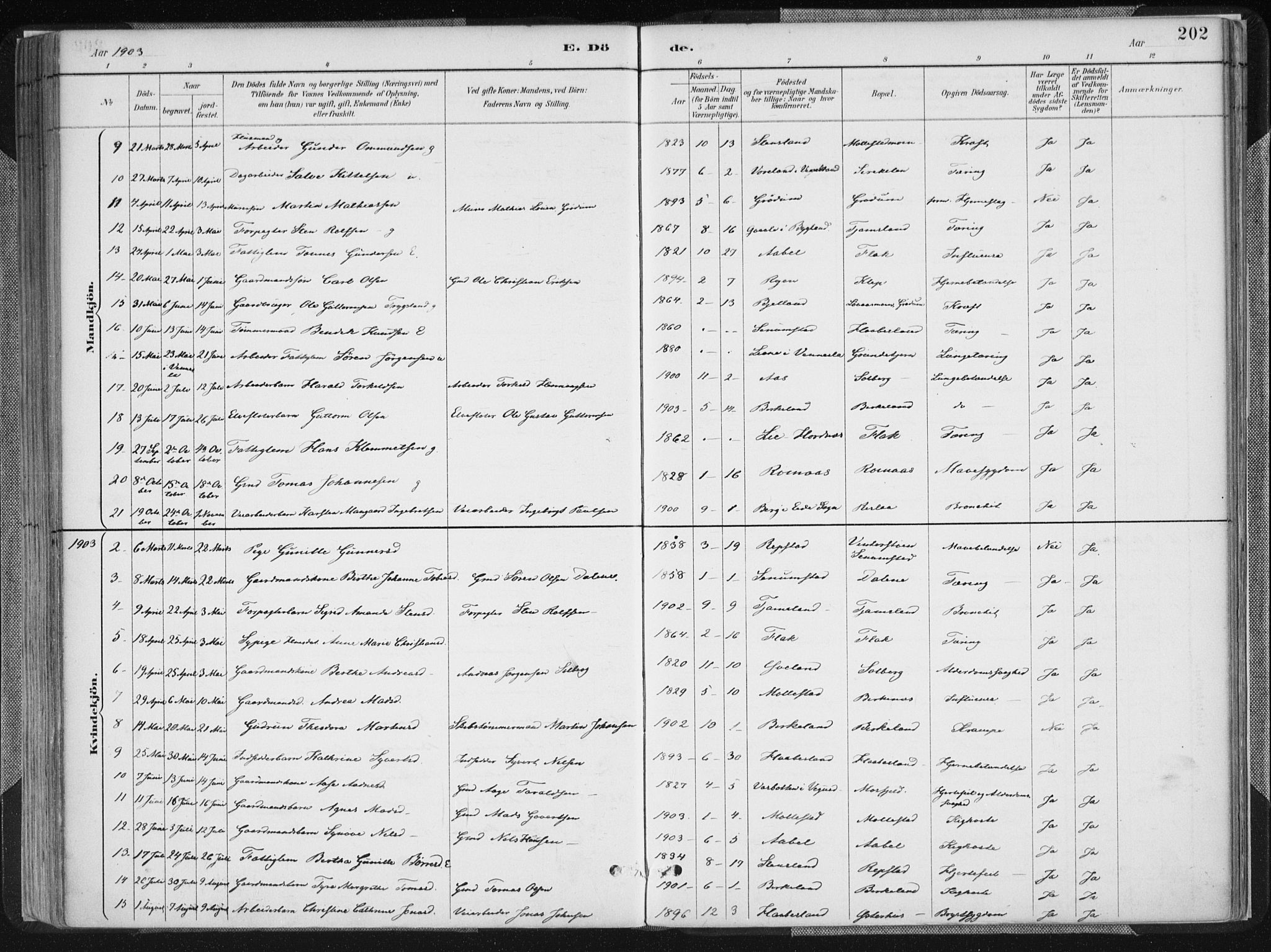 Birkenes sokneprestkontor, AV/SAK-1111-0004/F/Fa/L0005: Parish register (official) no. A 5, 1887-1907, p. 202