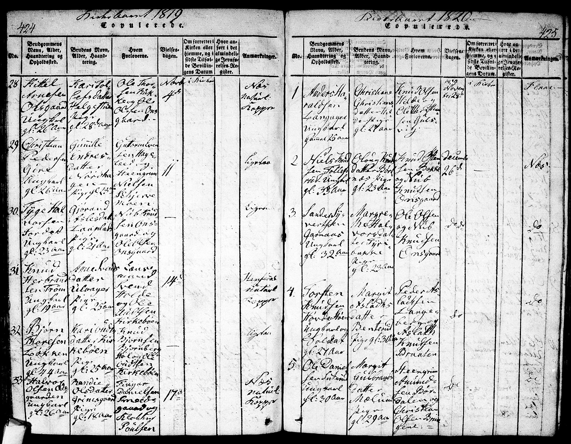 Nes kirkebøker, AV/SAKO-A-236/F/Fa/L0007: Parish register (official) no. 7, 1815-1823, p. 424-425