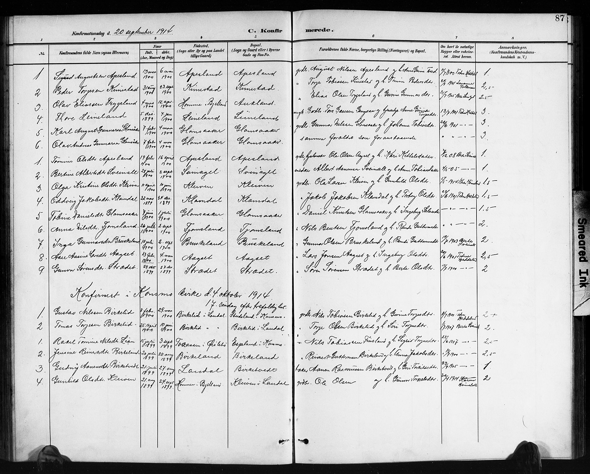 Holum sokneprestkontor, AV/SAK-1111-0022/F/Fb/Fbb/L0004: Parish register (copy) no. B 4, 1899-1920, p. 87