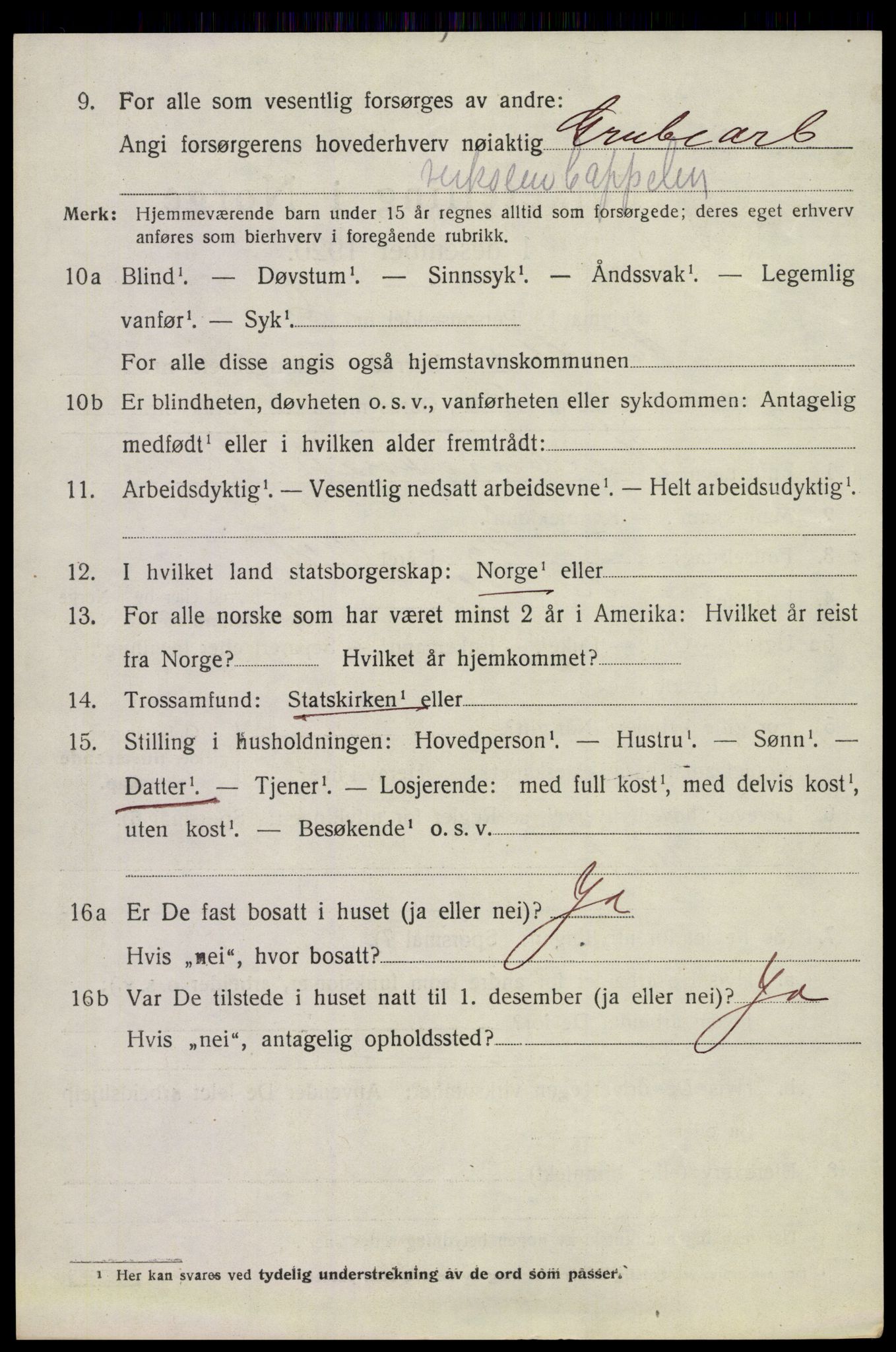 SAKO, 1920 census for Holla, 1920, p. 6024