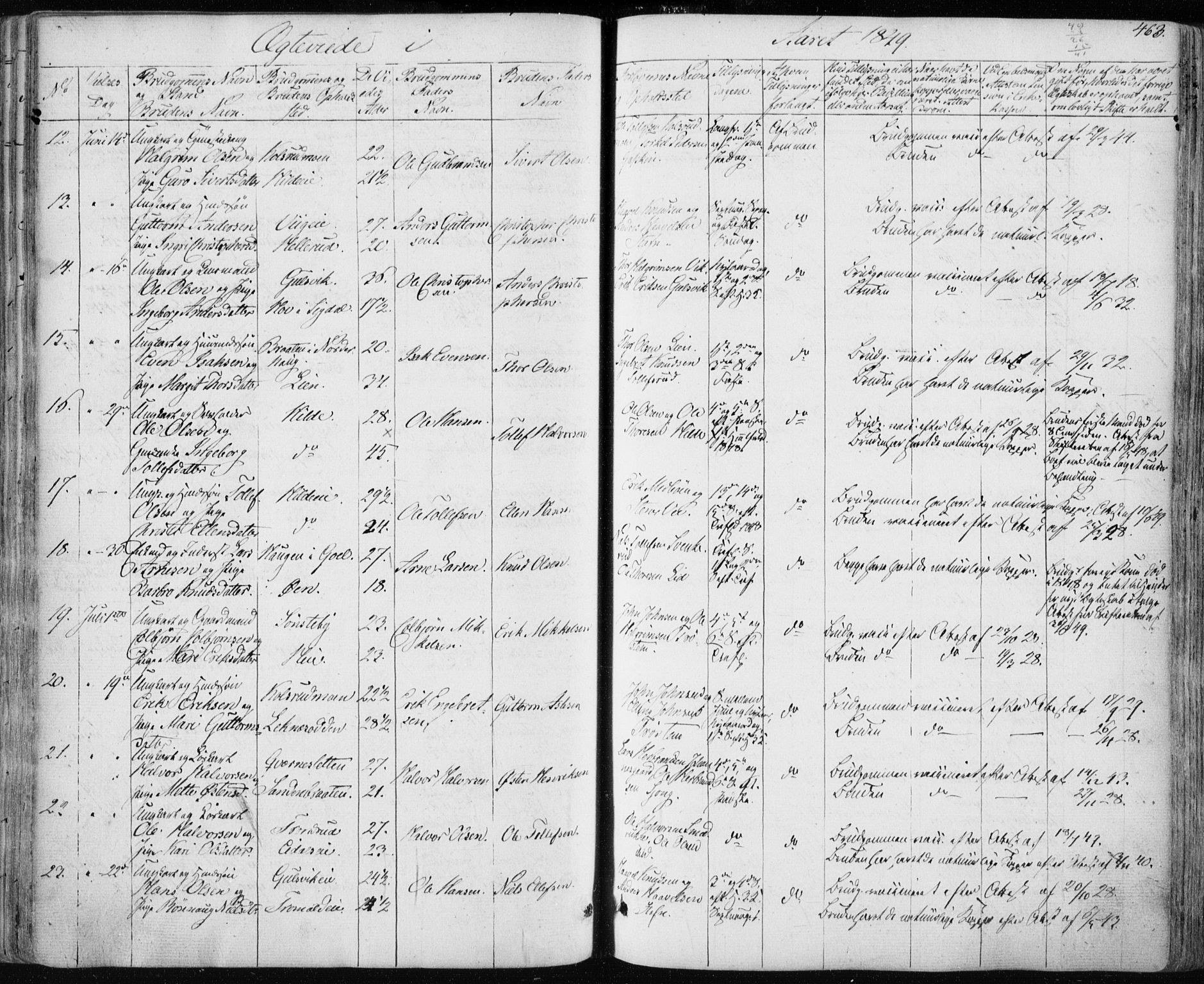 Nes kirkebøker, AV/SAKO-A-236/F/Fa/L0009: Parish register (official) no. 9, 1834-1863, p. 463