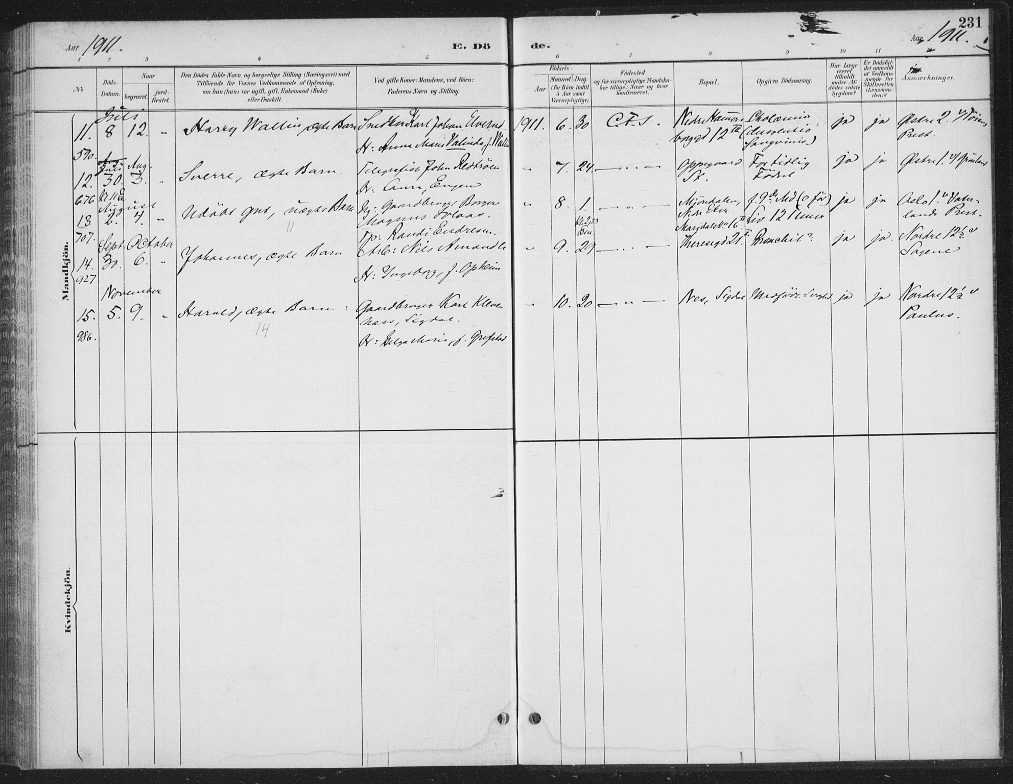 Rikshospitalet prestekontor Kirkebøker, AV/SAO-A-10309b/F/L0010: Parish register (official) no. 10, 1888-1912, p. 231