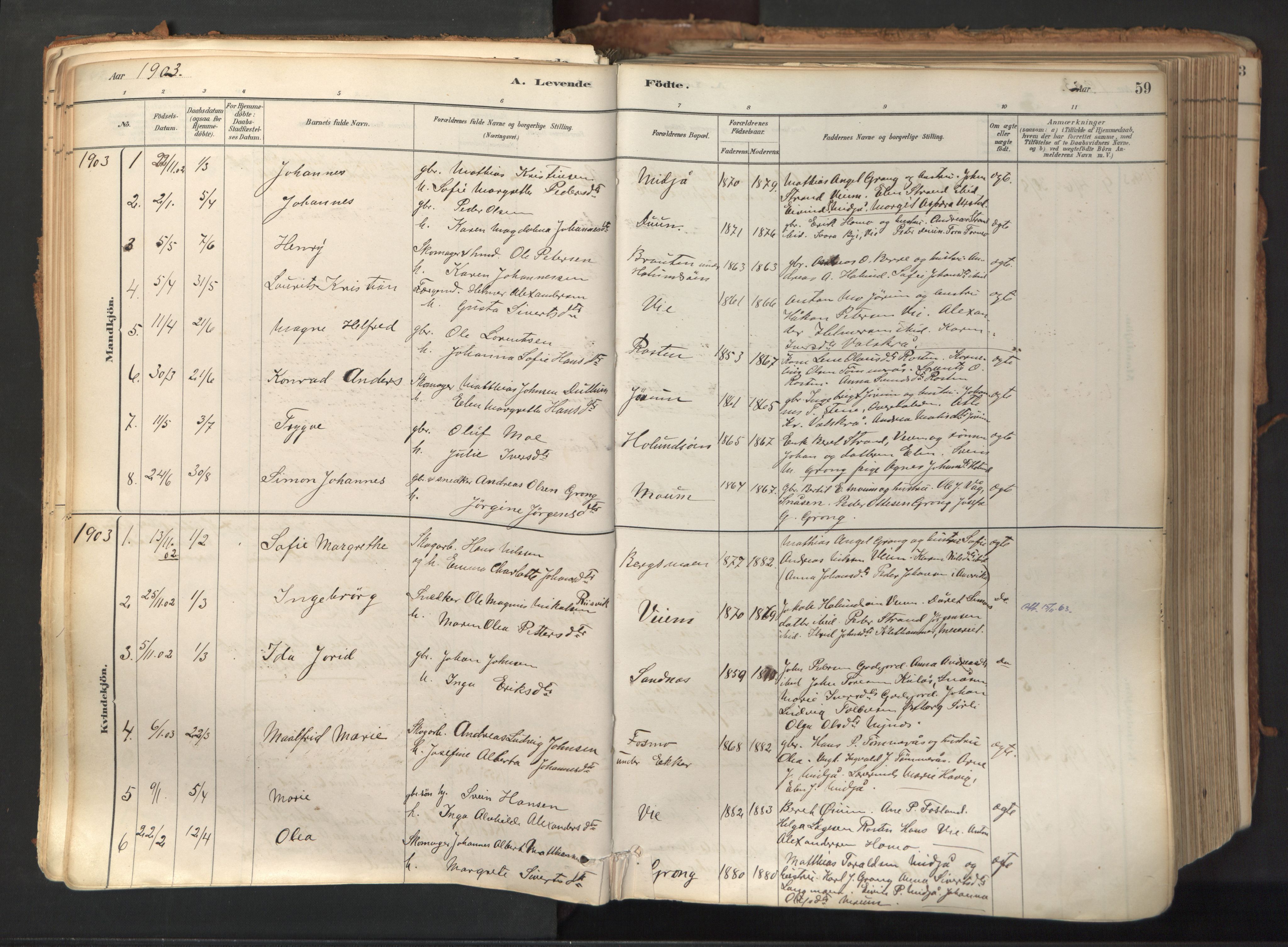 Ministerialprotokoller, klokkerbøker og fødselsregistre - Nord-Trøndelag, SAT/A-1458/758/L0519: Parish register (official) no. 758A04, 1880-1926, p. 59