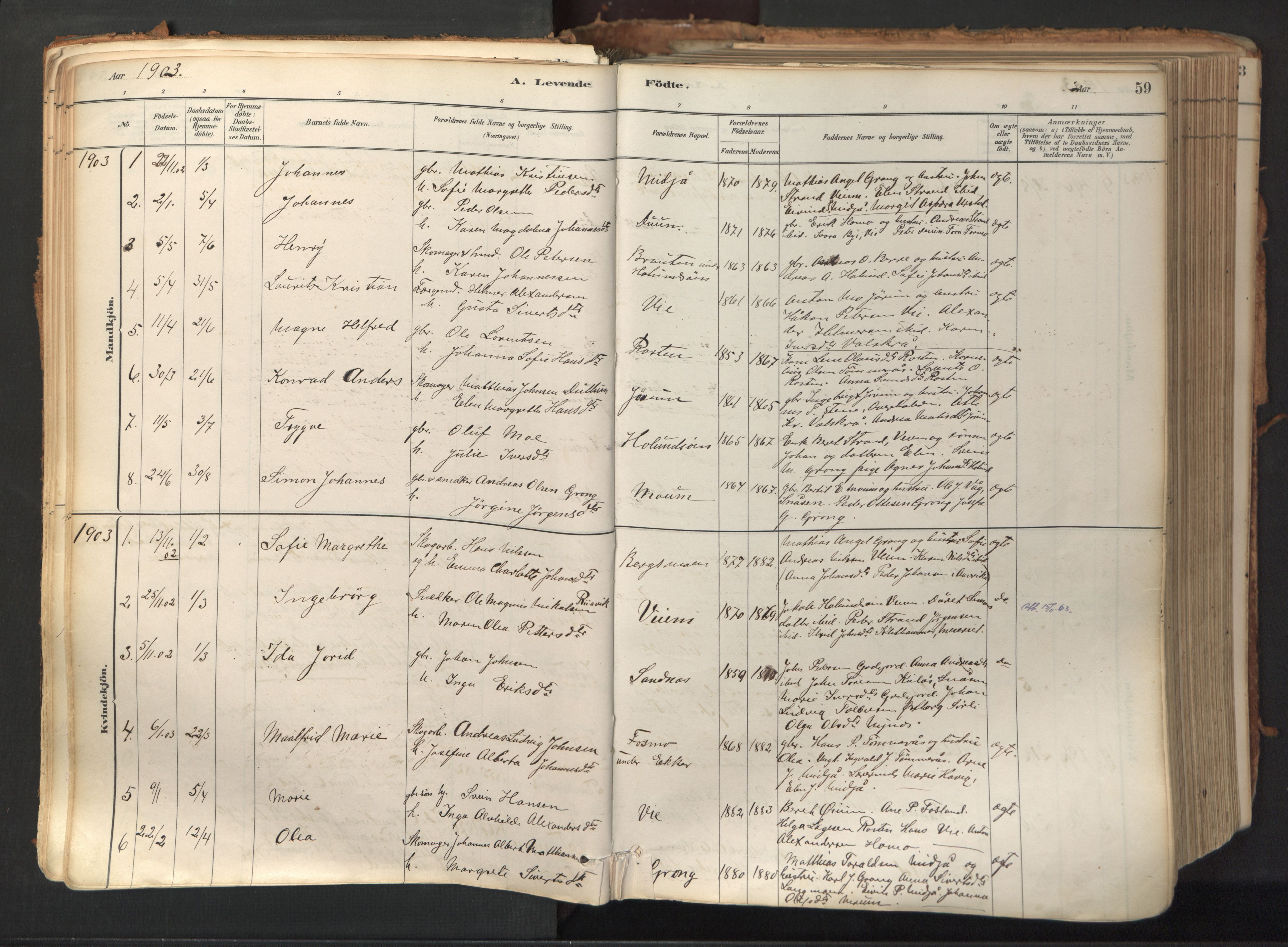 Ministerialprotokoller, klokkerbøker og fødselsregistre - Nord-Trøndelag, AV/SAT-A-1458/758/L0519: Parish register (official) no. 758A04, 1880-1926, p. 59