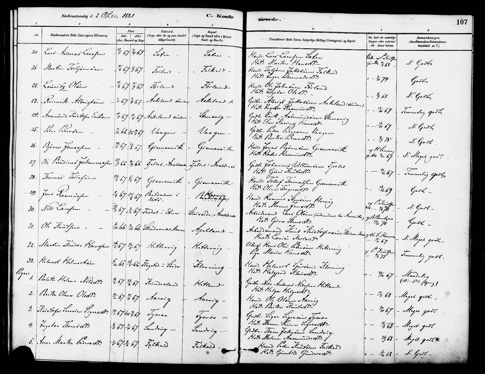 Tysvær sokneprestkontor, AV/SAST-A -101864/H/Ha/Haa/L0006: Parish register (official) no. A 6, 1878-1896, p. 107