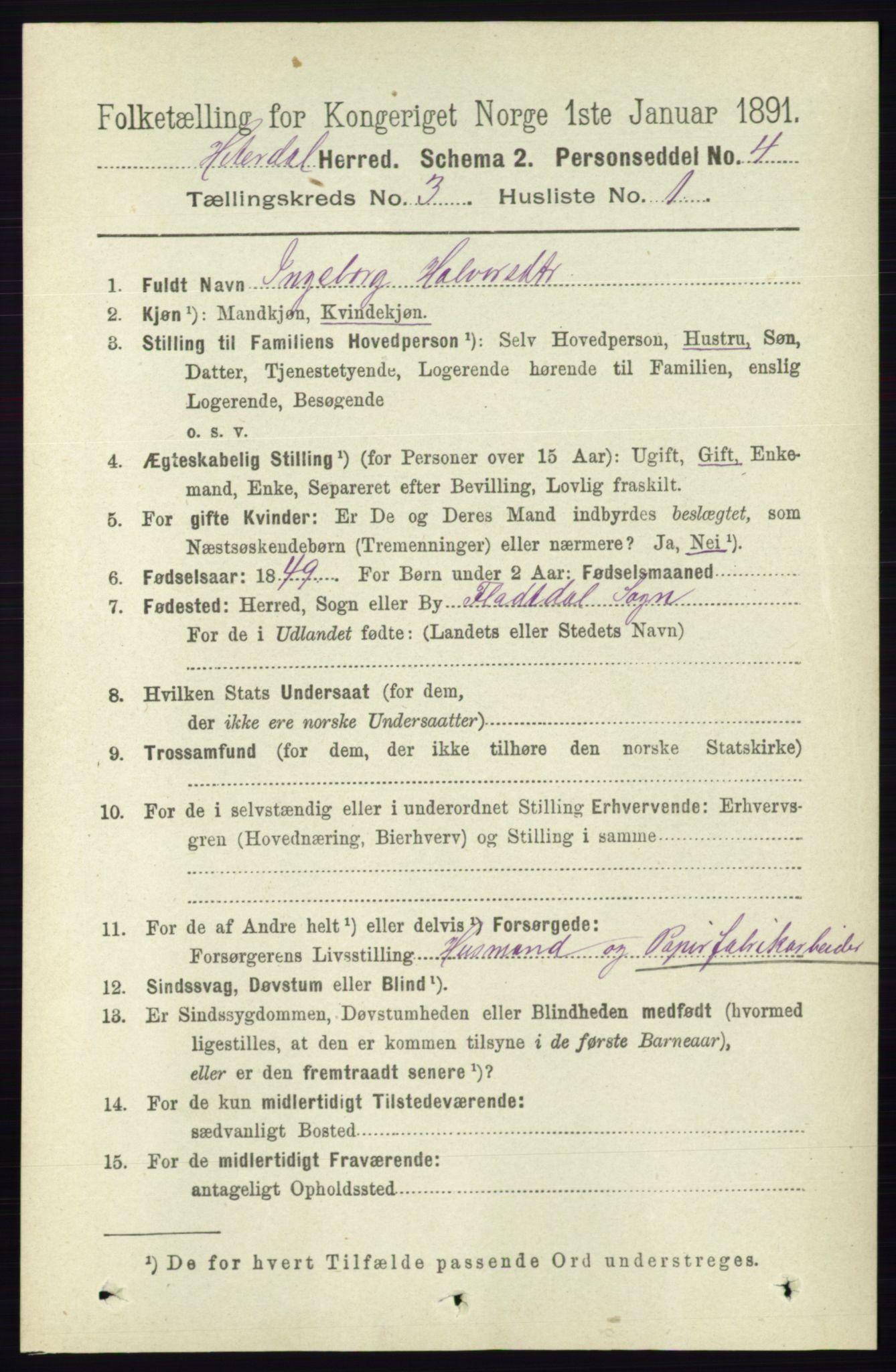 RA, 1891 census for 0823 Heddal, 1891, p. 1003