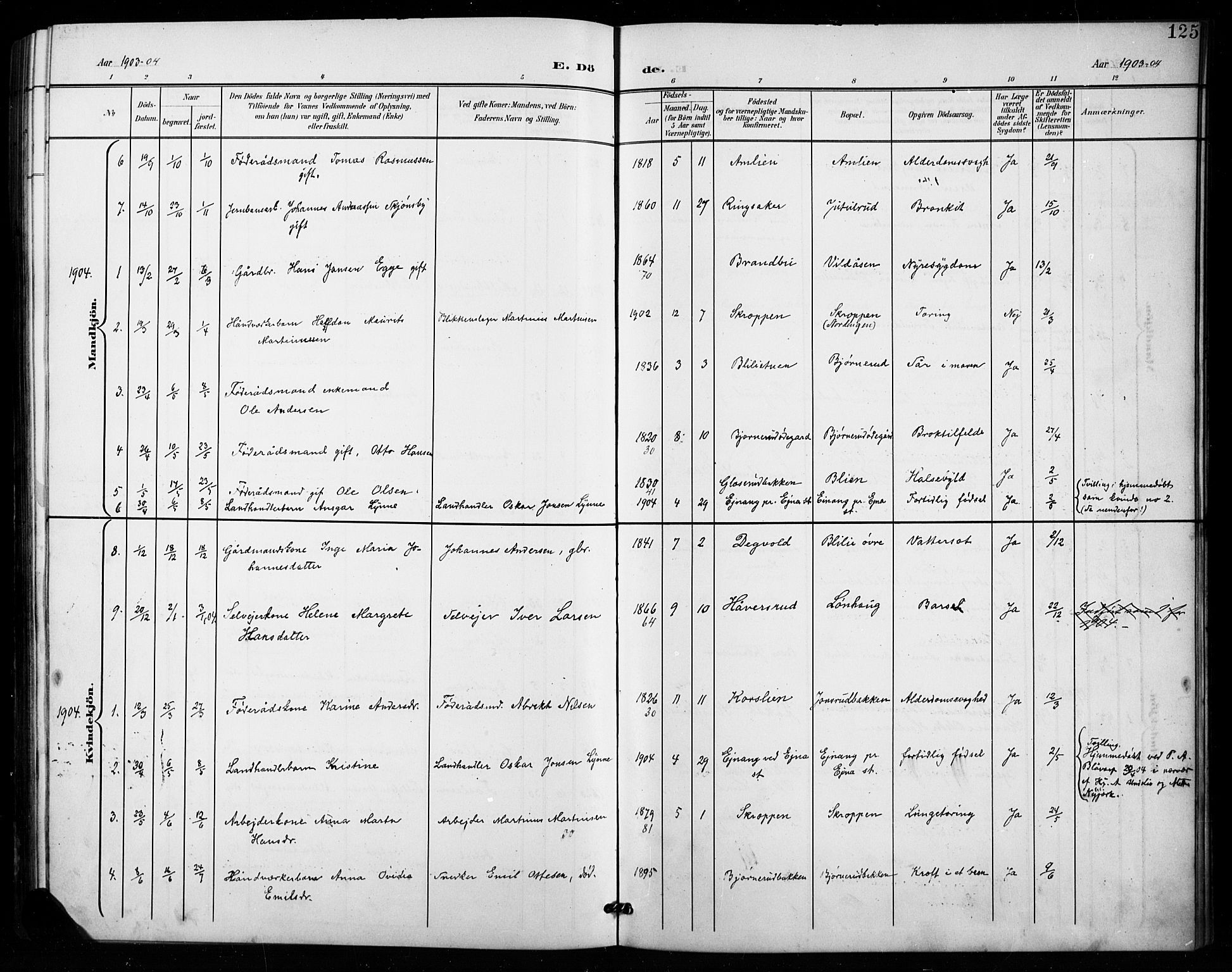 Vestre Toten prestekontor, SAH/PREST-108/H/Ha/Hab/L0016: Parish register (copy) no. 16, 1901-1915, p. 125