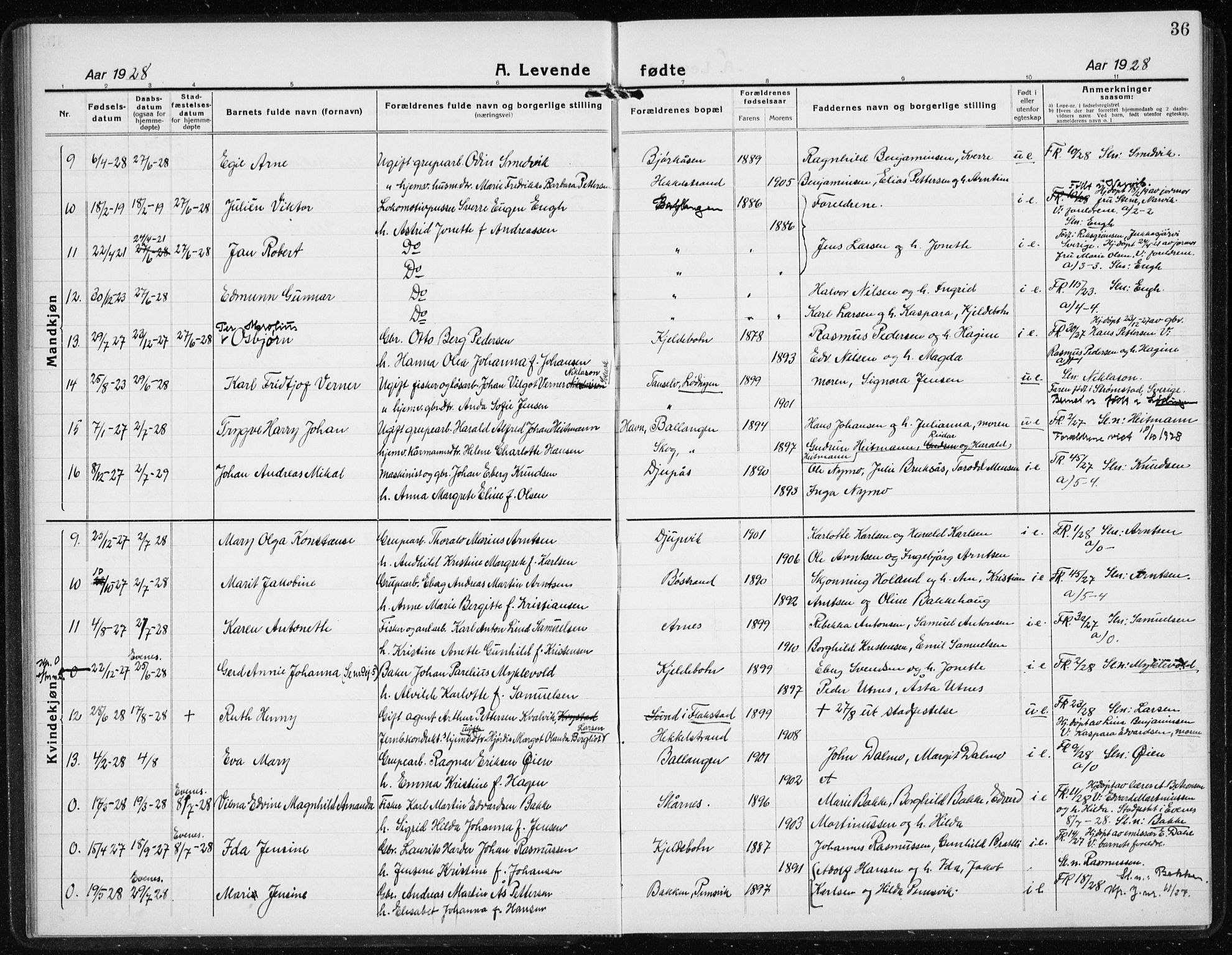 Ministerialprotokoller, klokkerbøker og fødselsregistre - Nordland, AV/SAT-A-1459/869/L0975: Parish register (copy) no. 869C01, 1923-1939, p. 36