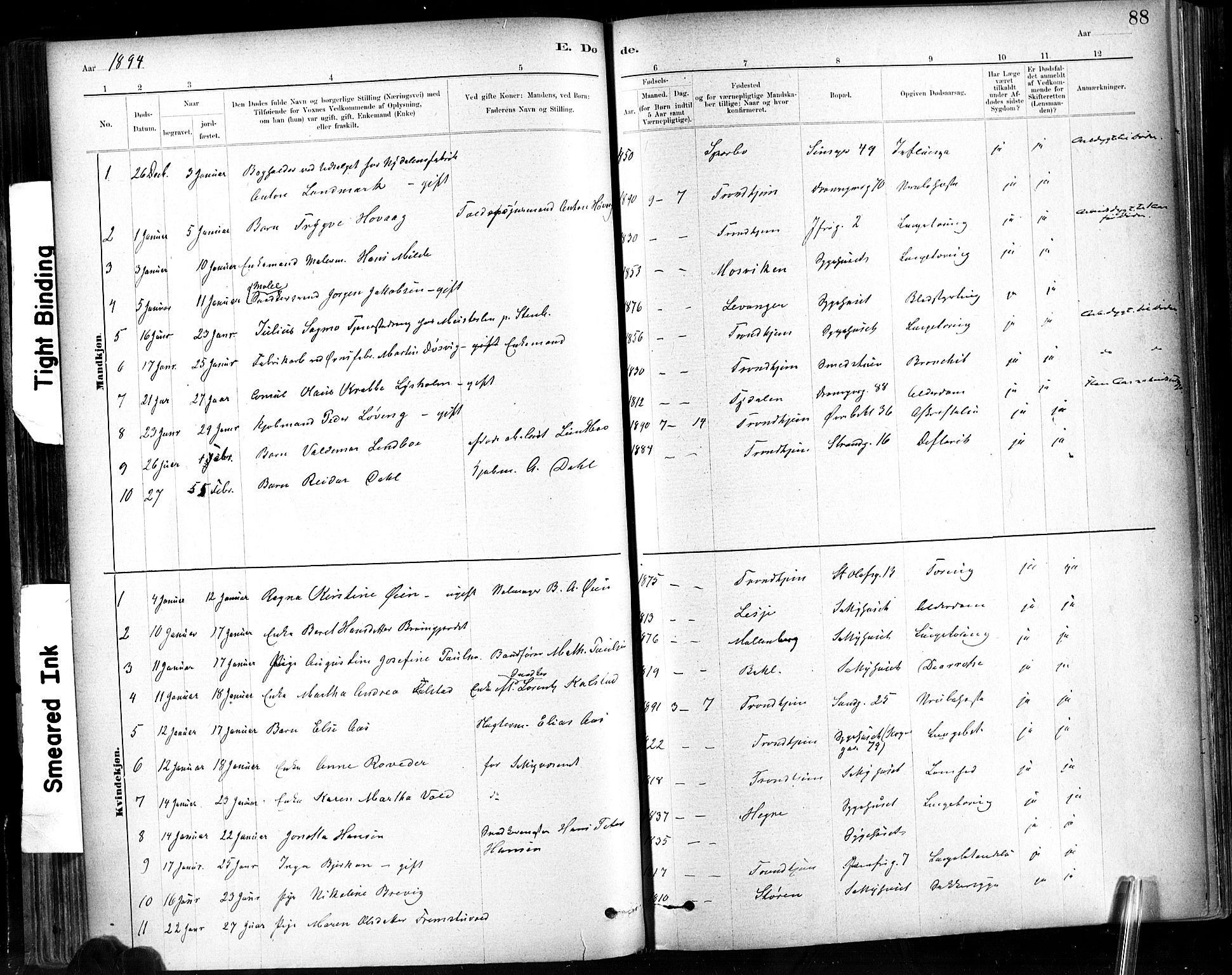 Ministerialprotokoller, klokkerbøker og fødselsregistre - Sør-Trøndelag, SAT/A-1456/602/L0120: Parish register (official) no. 602A18, 1880-1913, p. 88