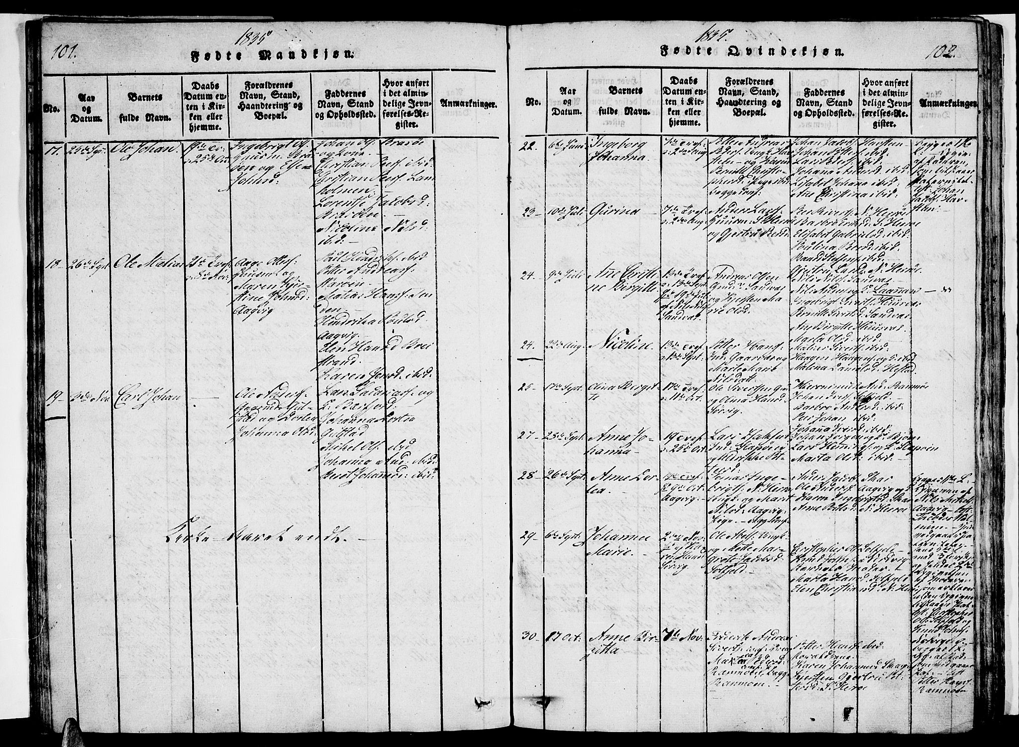 Ministerialprotokoller, klokkerbøker og fødselsregistre - Nordland, AV/SAT-A-1459/834/L0510: Parish register (copy) no. 834C01, 1820-1847, p. 101-102