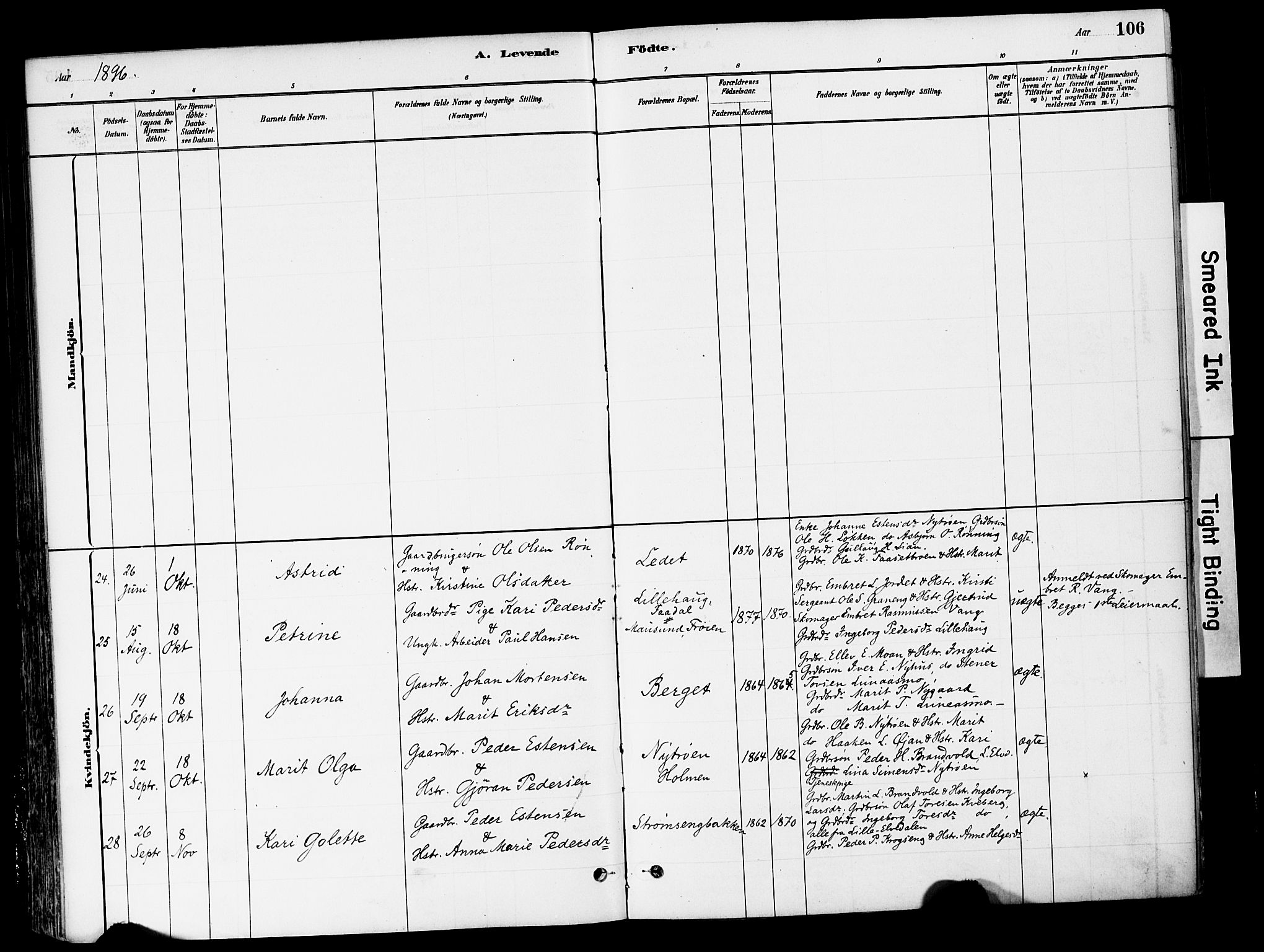 Tynset prestekontor, SAH/PREST-058/H/Ha/Haa/L0022: Parish register (official) no. 22, 1880-1899, p. 106