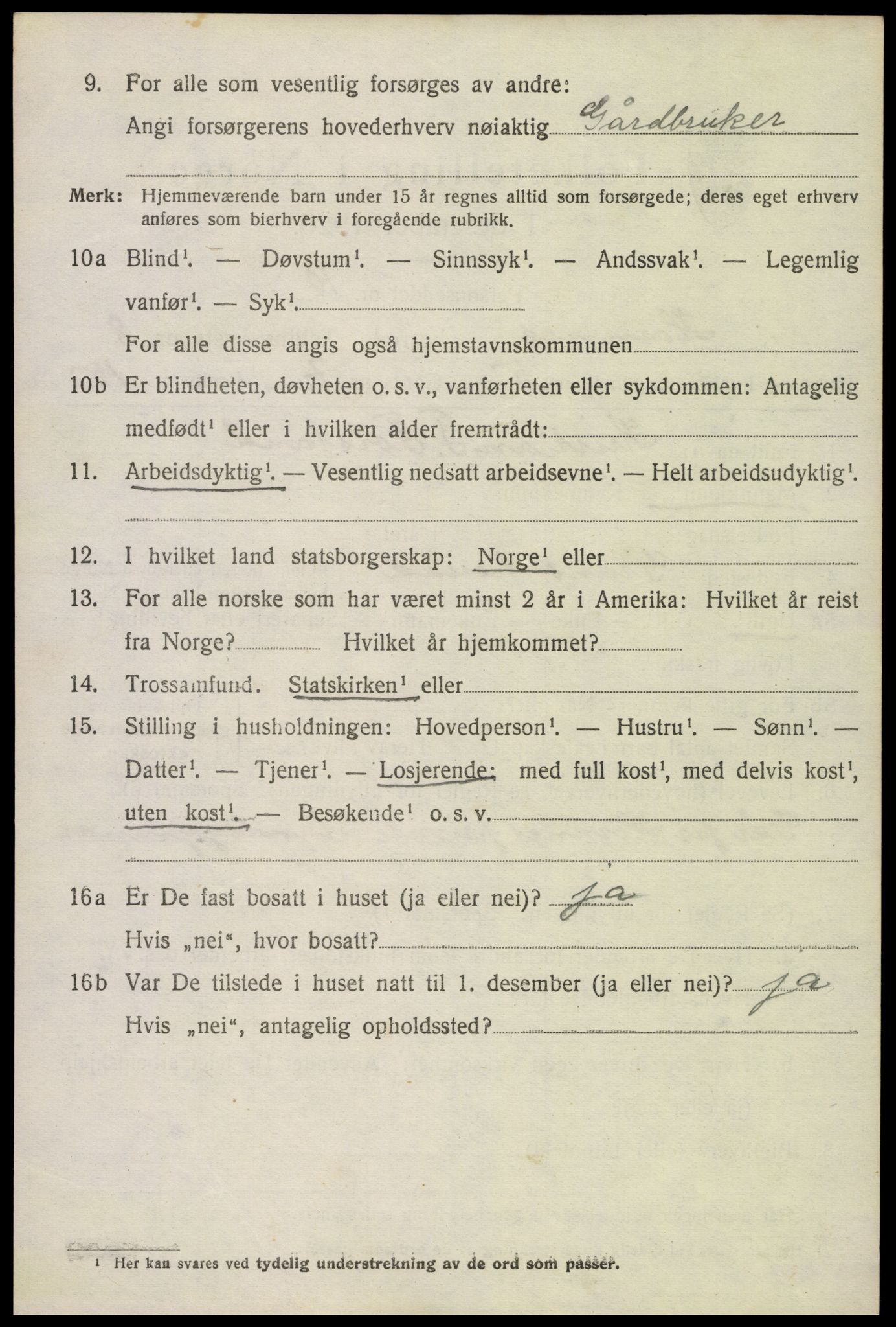 SAK, 1920 census for Hornnes, 1920, p. 1850