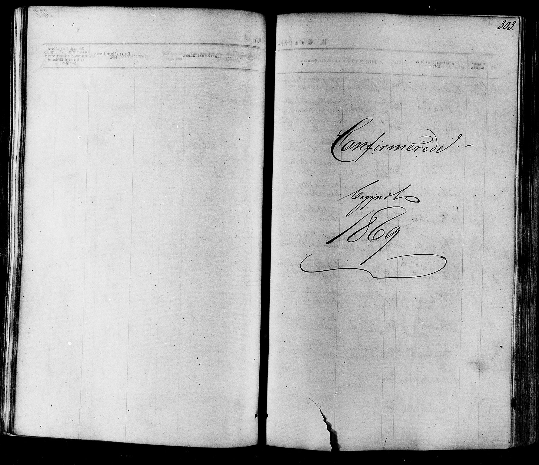 Eiker kirkebøker, SAKO/A-4/F/Fa/L0017: Parish register (official) no. I 17, 1869-1877, p. 303