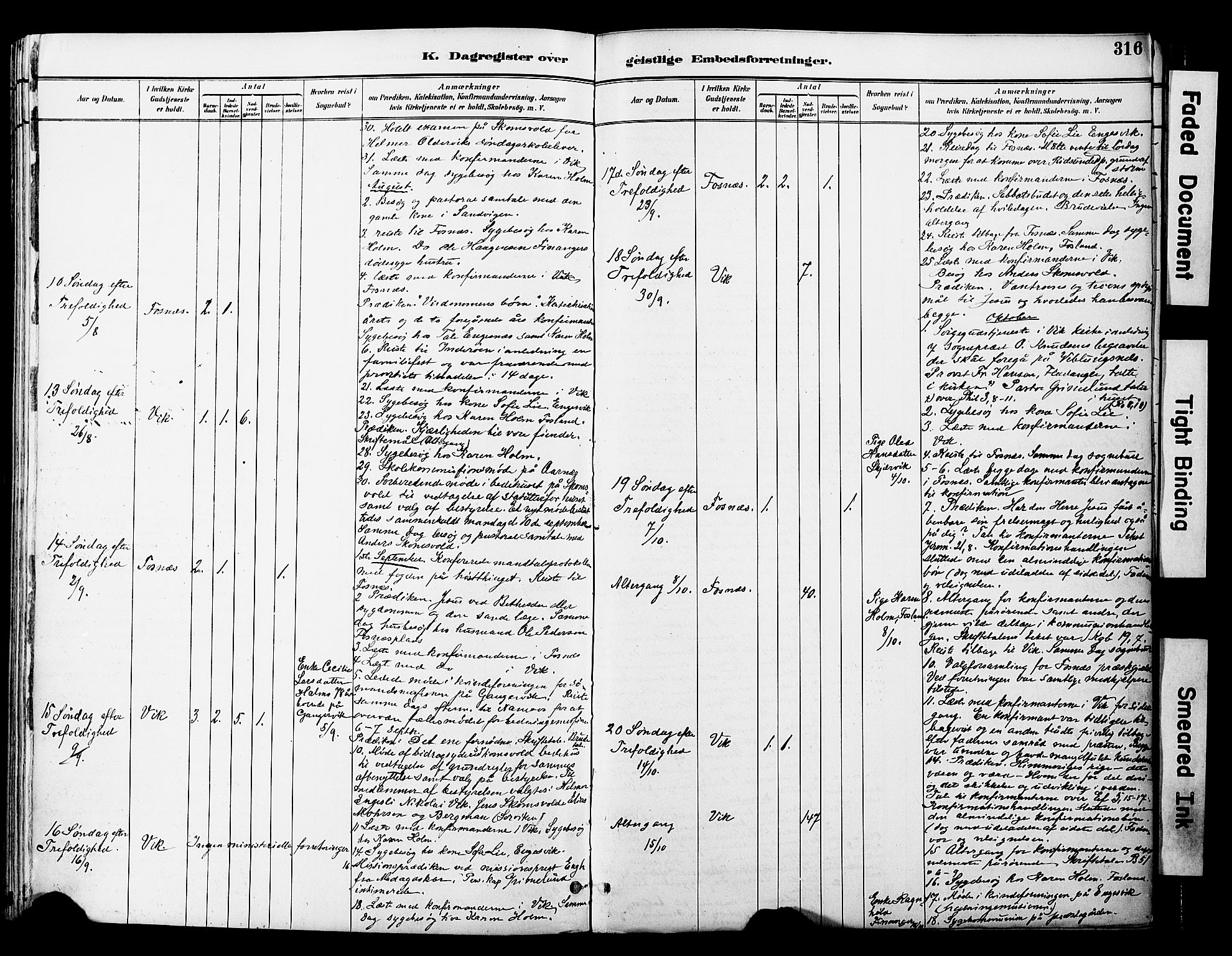 Ministerialprotokoller, klokkerbøker og fødselsregistre - Nord-Trøndelag, AV/SAT-A-1458/774/L0628: Parish register (official) no. 774A02, 1887-1903, p. 316