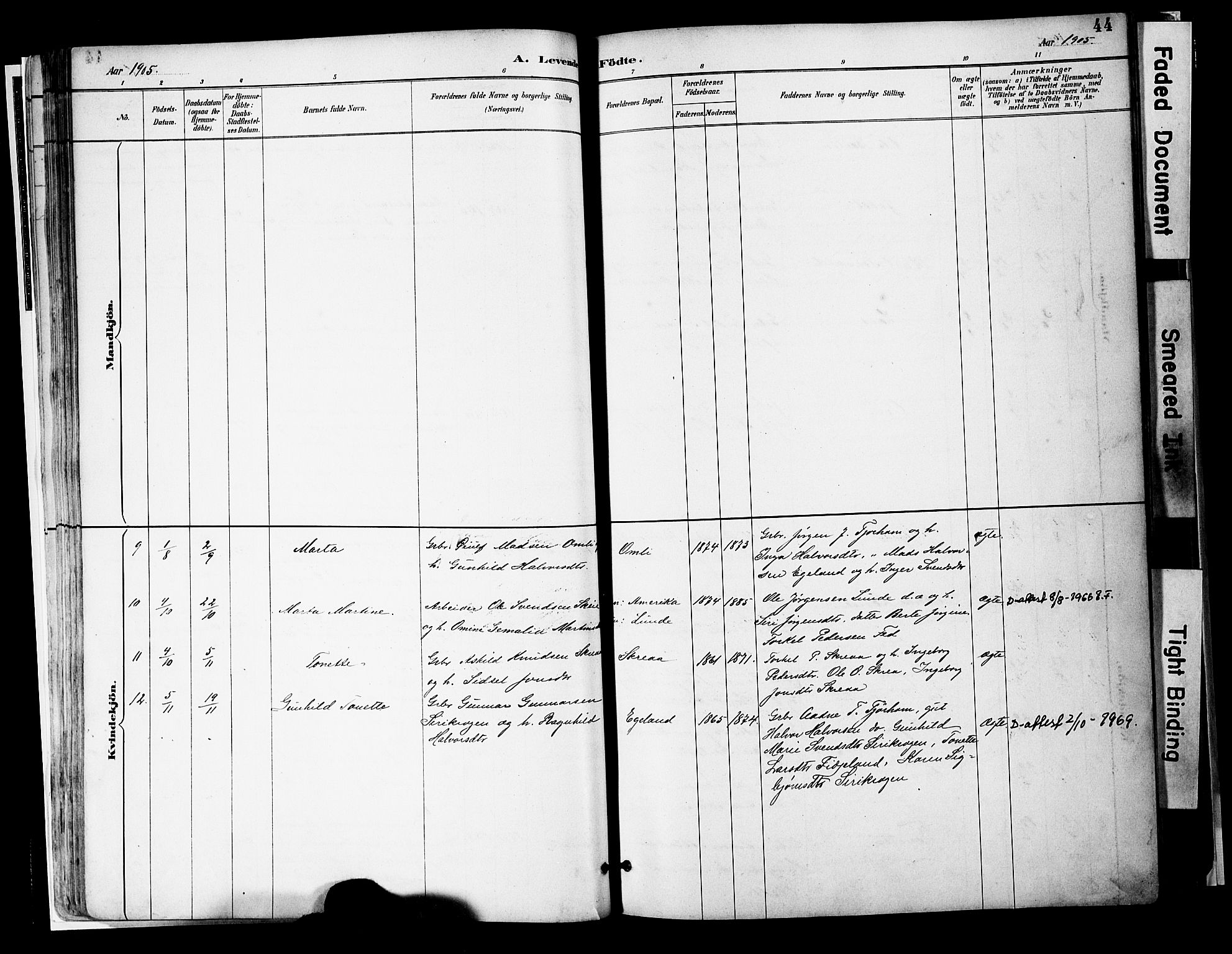 Sirdal sokneprestkontor, AV/SAK-1111-0036/F/Fa/Faa/L0001: Parish register (official) no. A 1, 1887-1910, p. 44