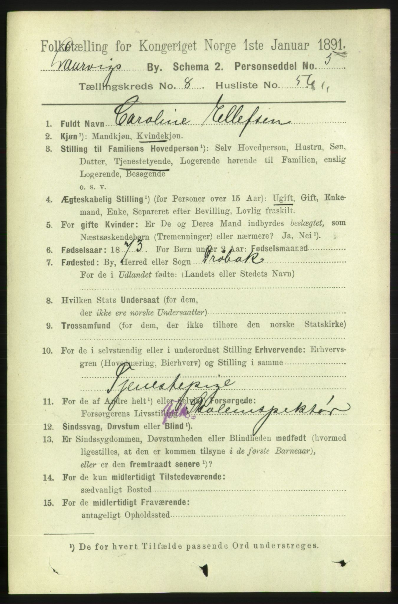 RA, 1891 census for 0707 Larvik, 1891, p. 8492