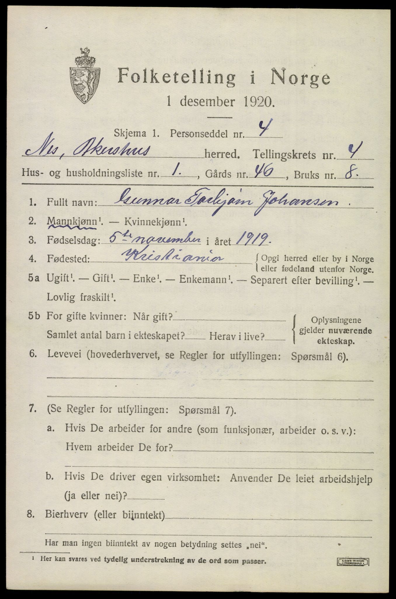 SAO, 1920 census for Nes, 1920, p. 13954