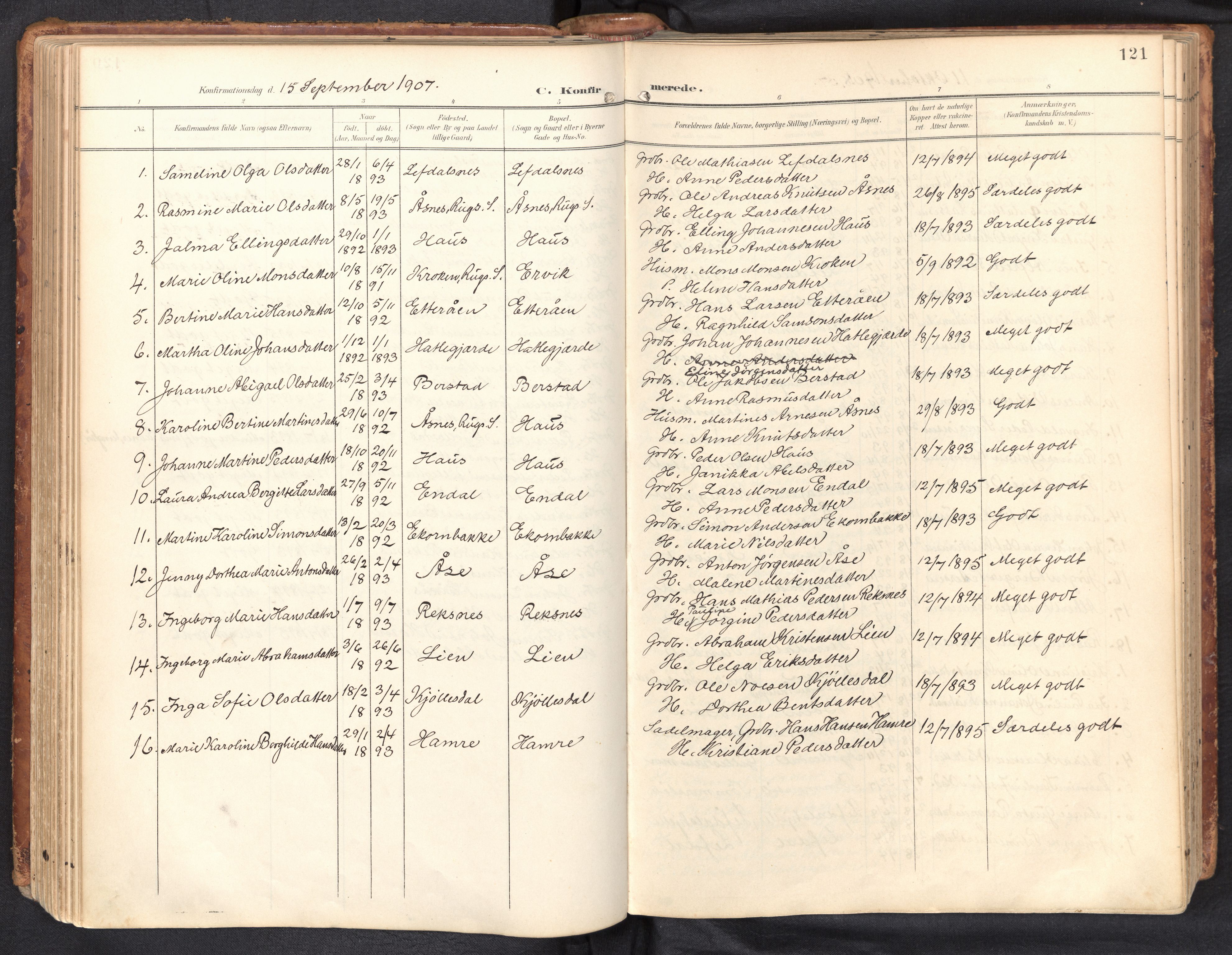 Davik sokneprestembete, AV/SAB-A-79701/H/Haa/Haab/L0002: Parish register (official) no. B 2, 1901-1934, p. 121