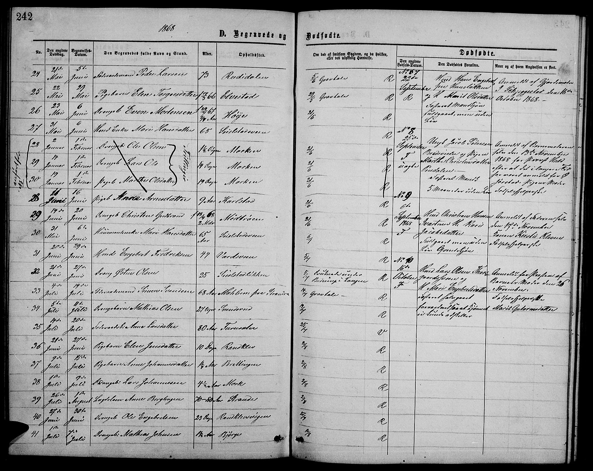 Ringebu prestekontor, AV/SAH-PREST-082/H/Ha/Hab/L0004: Parish register (copy) no. 4, 1867-1879, p. 242