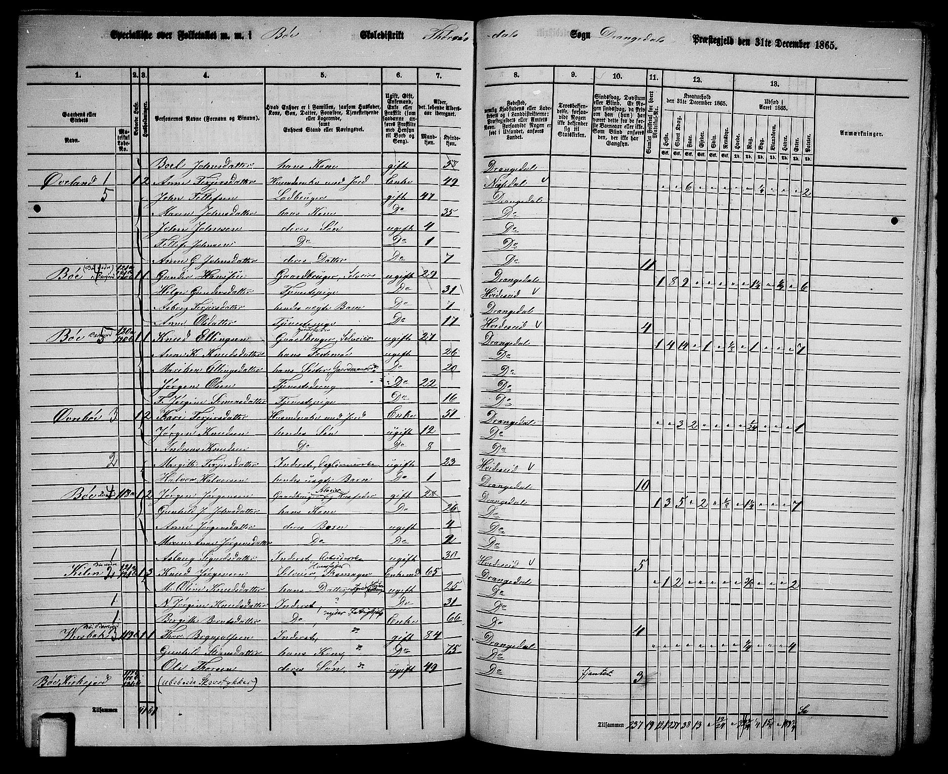 RA, 1865 census for Drangedal, 1865, p. 118