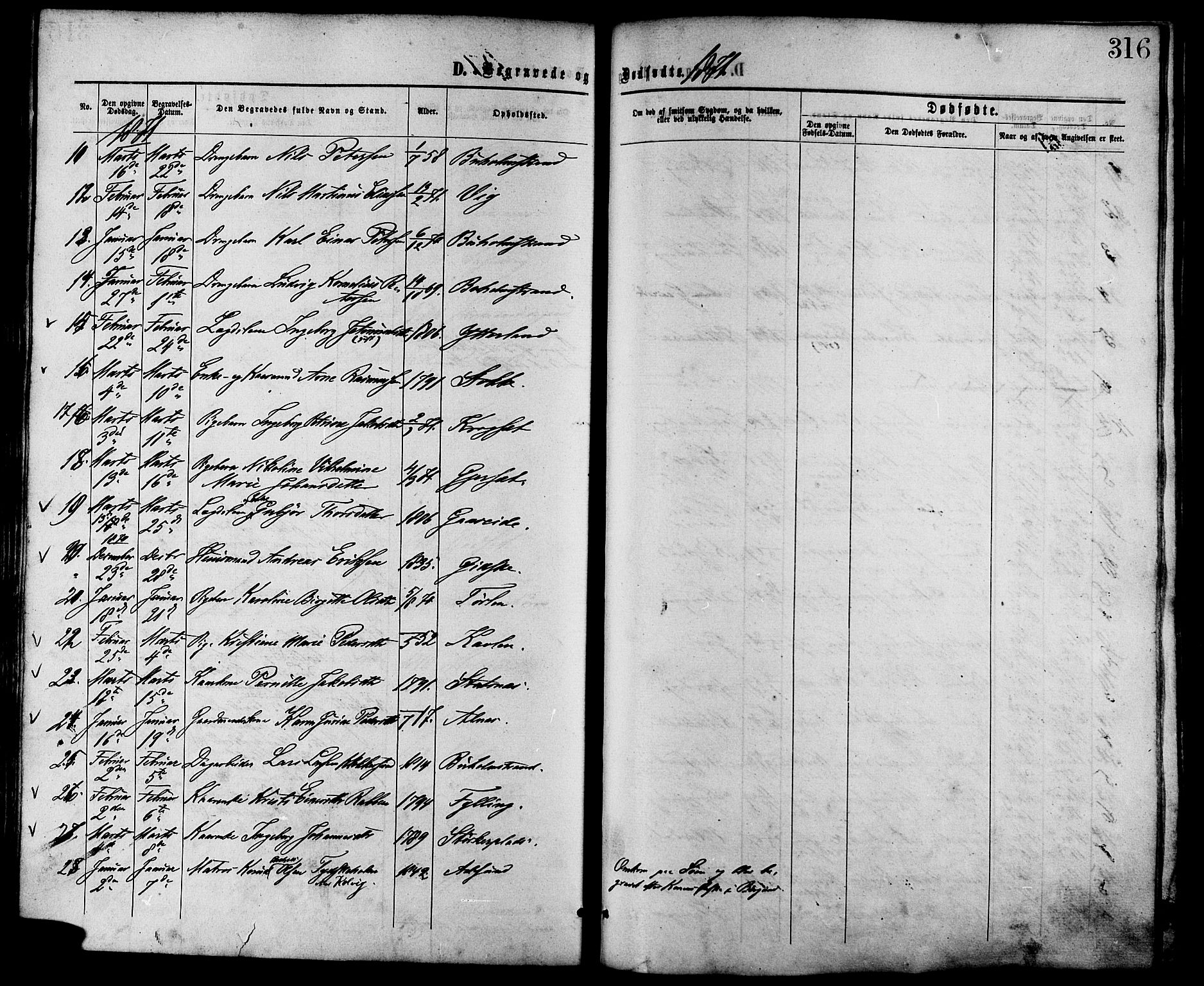 Ministerialprotokoller, klokkerbøker og fødselsregistre - Møre og Romsdal, AV/SAT-A-1454/528/L0399: Parish register (official) no. 528A10, 1864-1879, p. 316