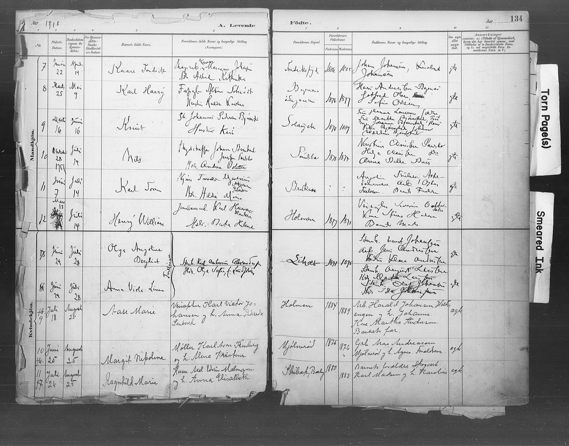 Idd prestekontor Kirkebøker, AV/SAO-A-10911/F/Fb/L0002: Parish register (official) no. II 2, 1882-1923, p. 134