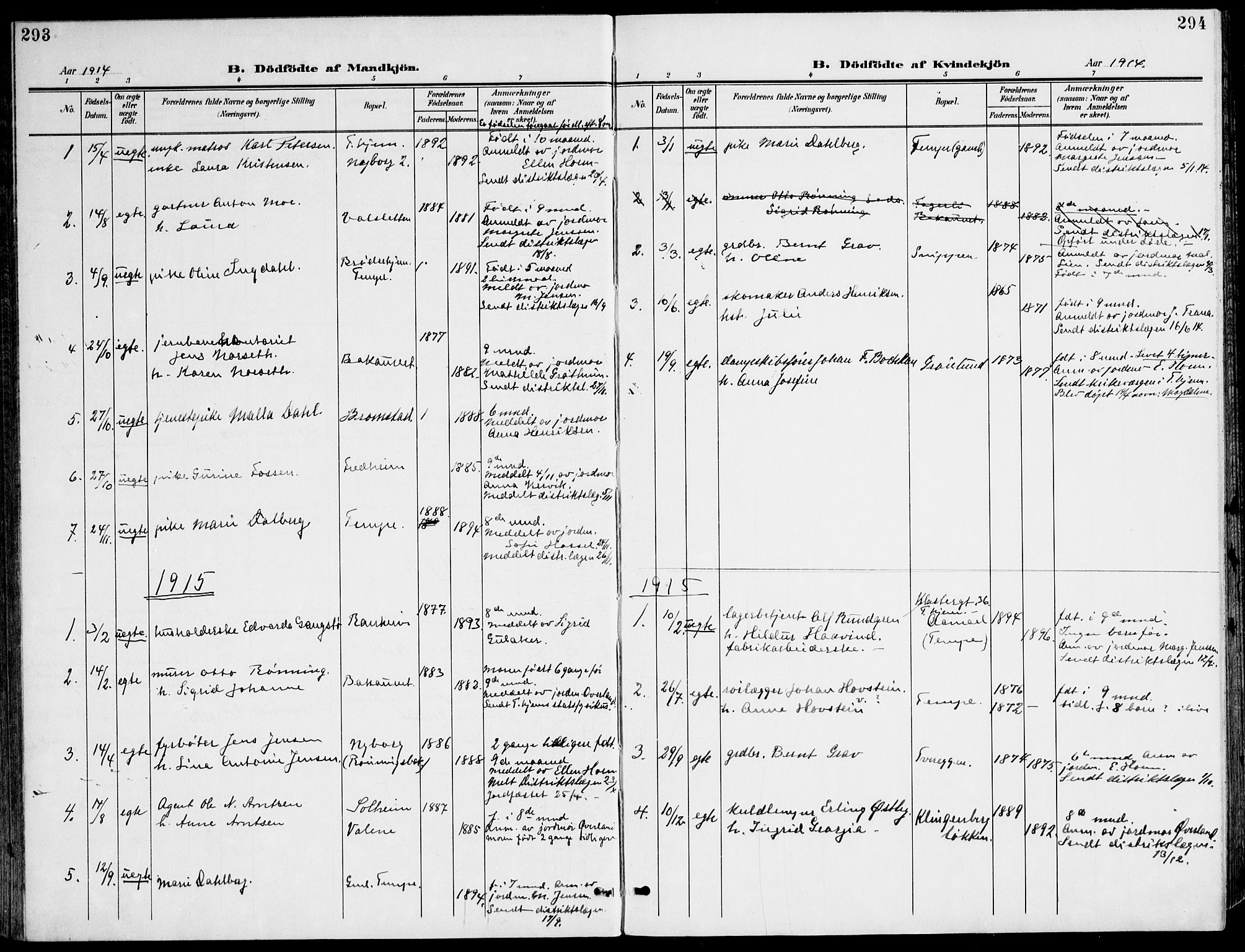 Ministerialprotokoller, klokkerbøker og fødselsregistre - Sør-Trøndelag, SAT/A-1456/607/L0320: Parish register (official) no. 607A04, 1907-1915, p. 293-294