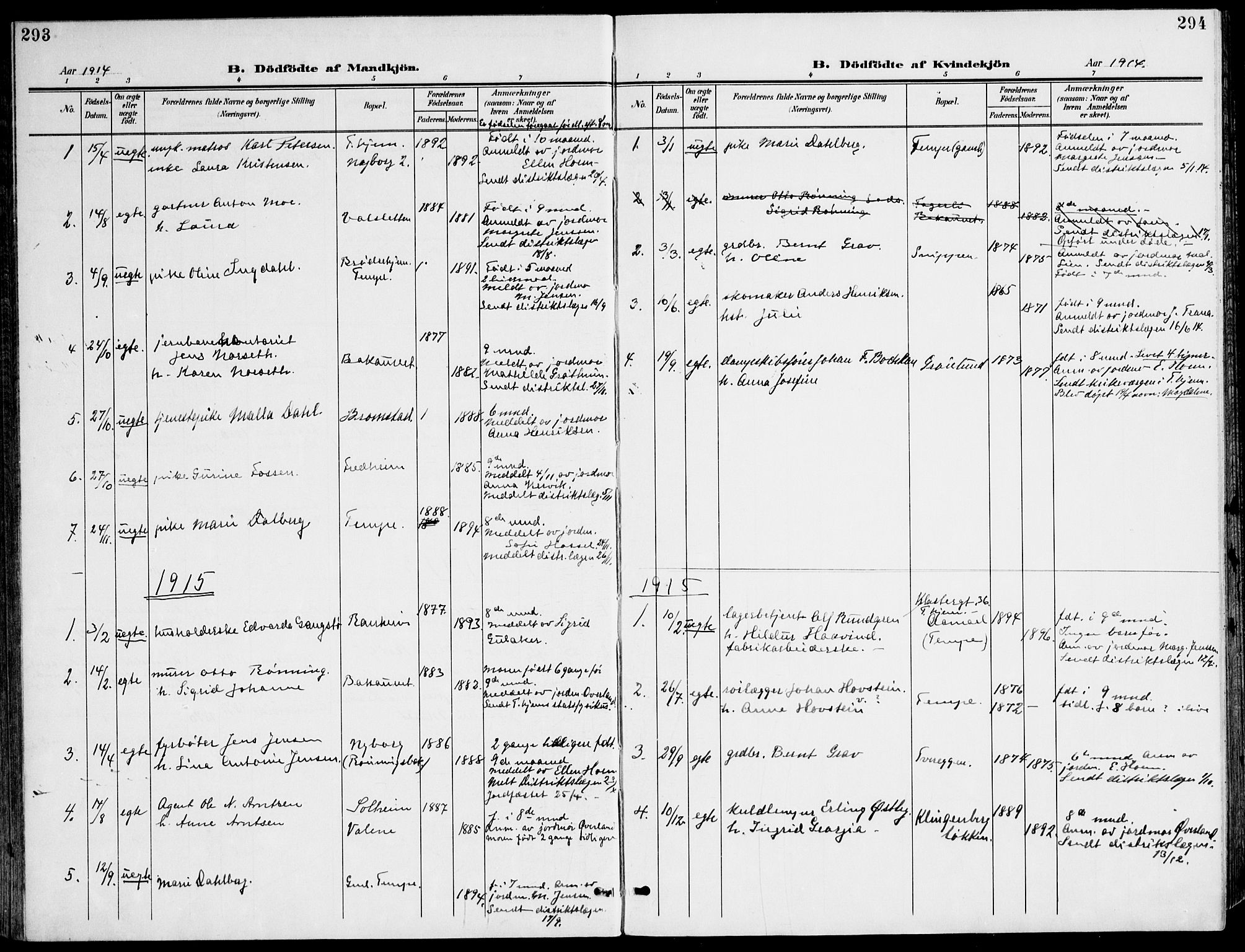 Ministerialprotokoller, klokkerbøker og fødselsregistre - Sør-Trøndelag, AV/SAT-A-1456/607/L0320: Parish register (official) no. 607A04, 1907-1915, p. 293-294