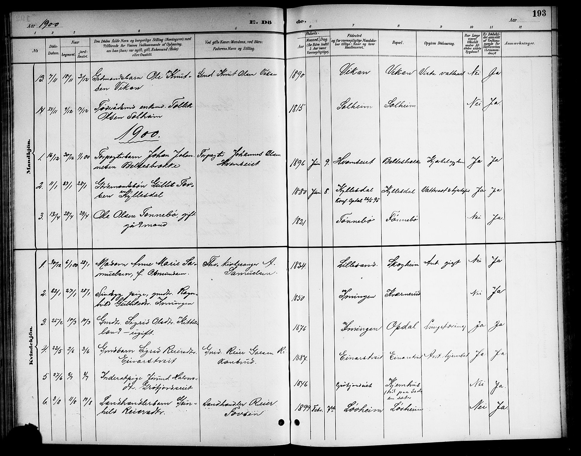 Nore kirkebøker, SAKO/A-238/G/Gb/L0003: Parish register (copy) no. II 3, 1894-1923, p. 193