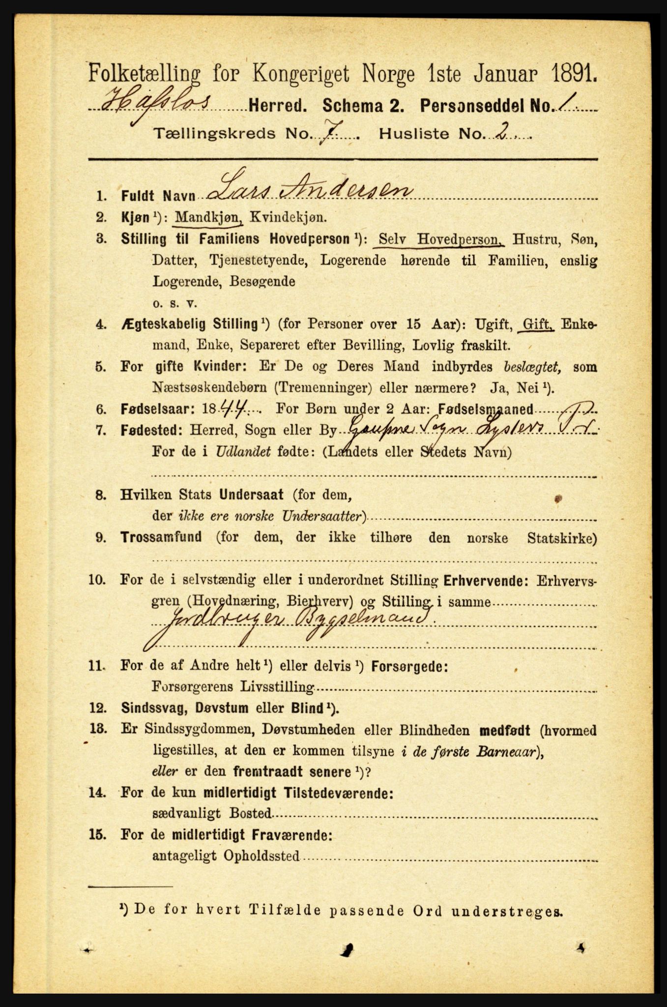 RA, 1891 census for 1425 Hafslo, 1891, p. 2748