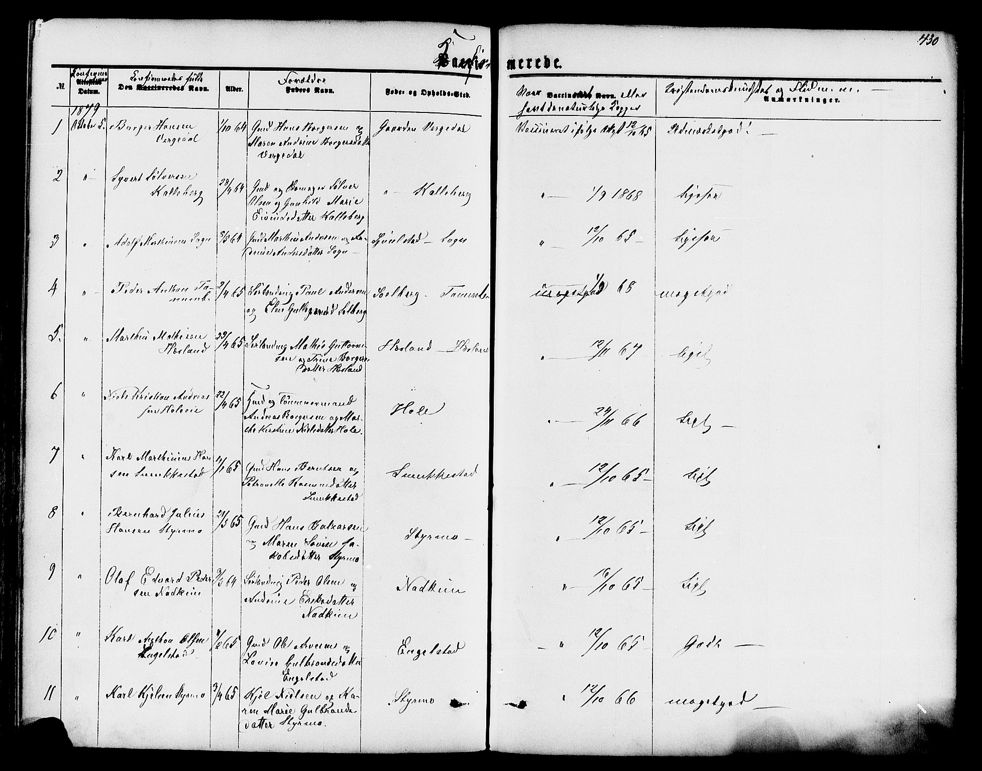 Lardal kirkebøker, AV/SAKO-A-350/F/Fa/L0007: Parish register (official) no. I 7, 1861-1880, p. 430