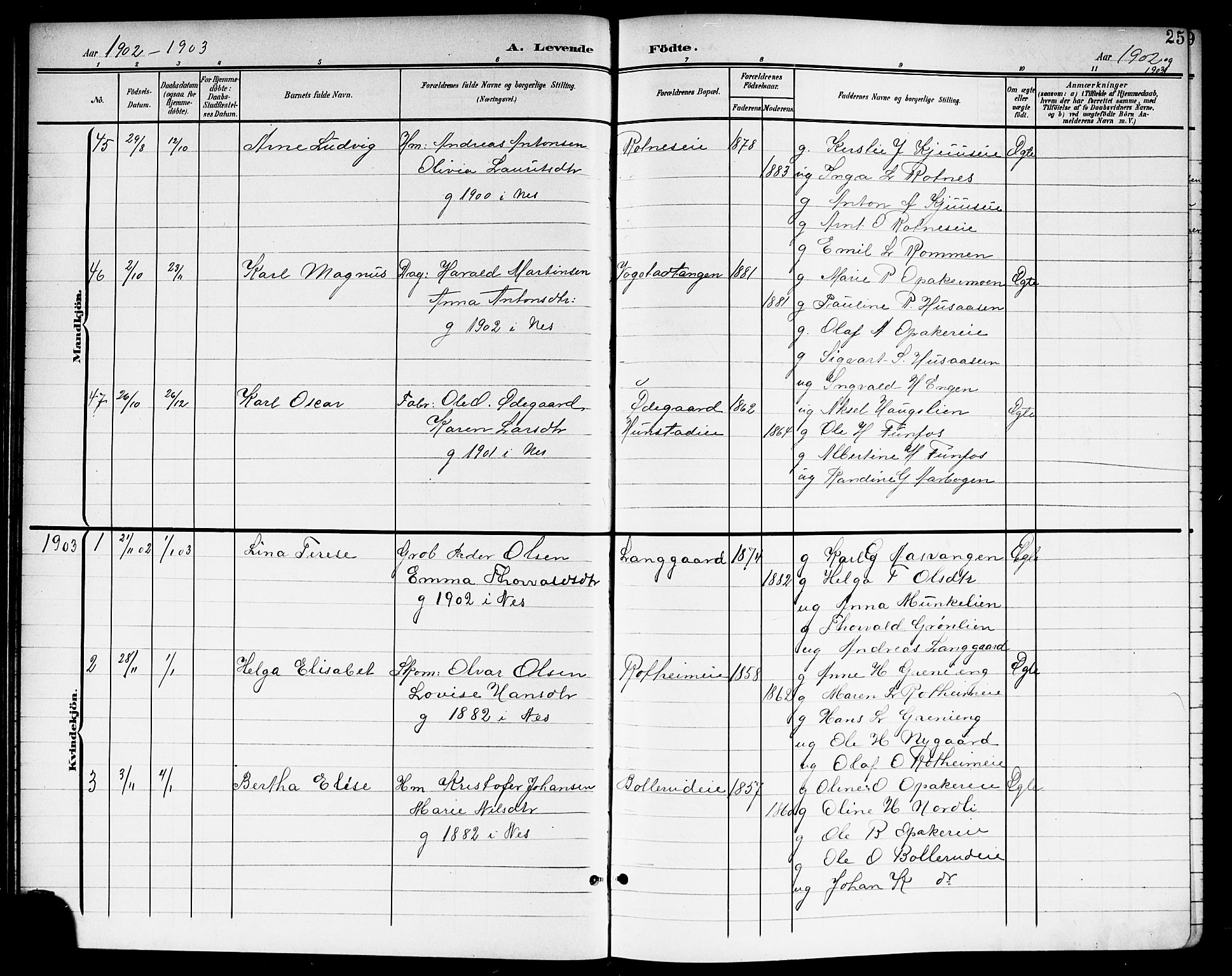 Nes prestekontor Kirkebøker, SAO/A-10410/G/Ga/L0002: Parish register (copy) no. I 2, 1901-1912, p. 25