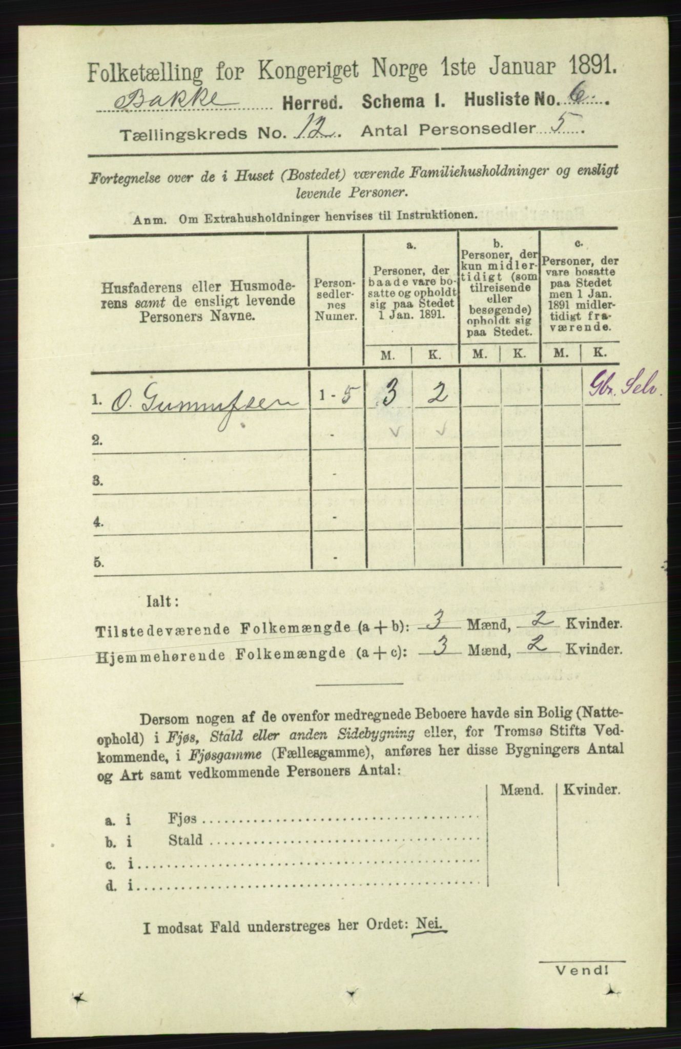 RA, 1891 census for 1045 Bakke, 1891, p. 2384