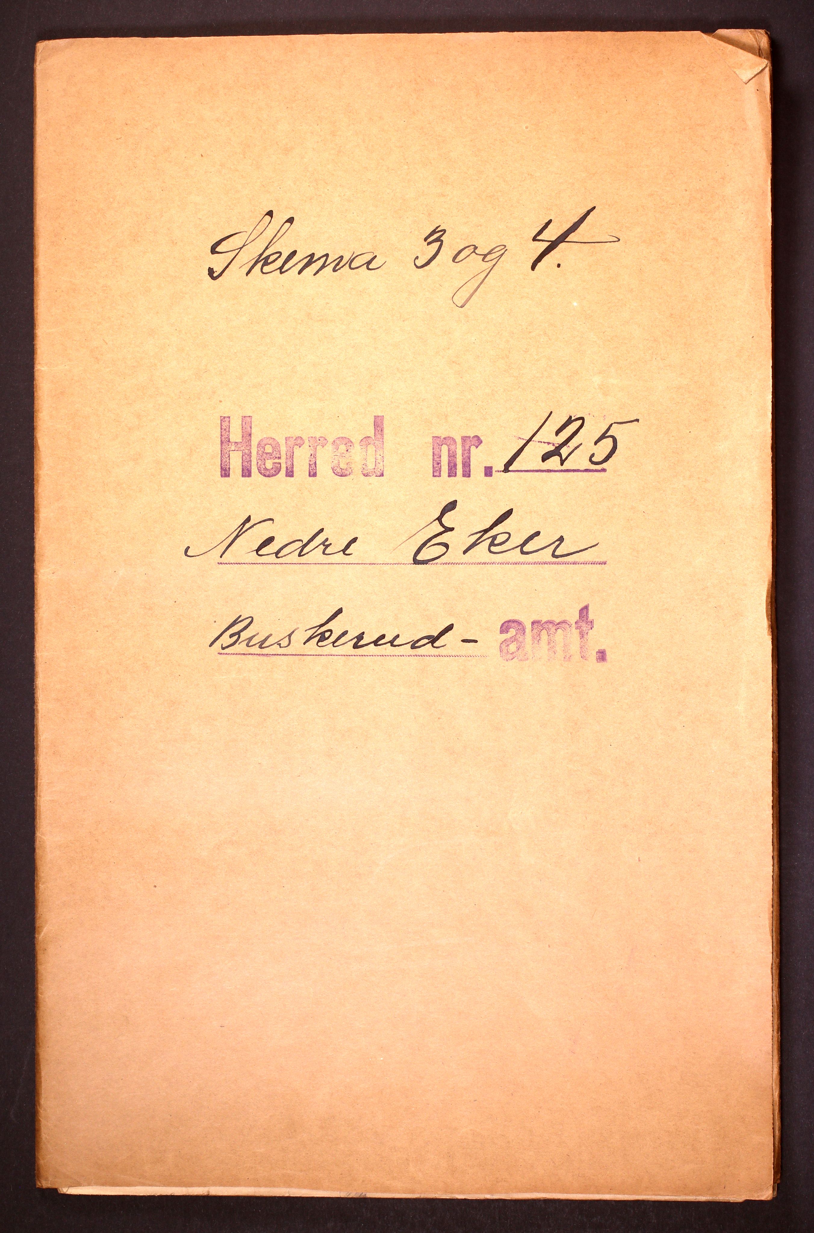 RA, 1910 census for Nedre Eiker, 1910, p. 1