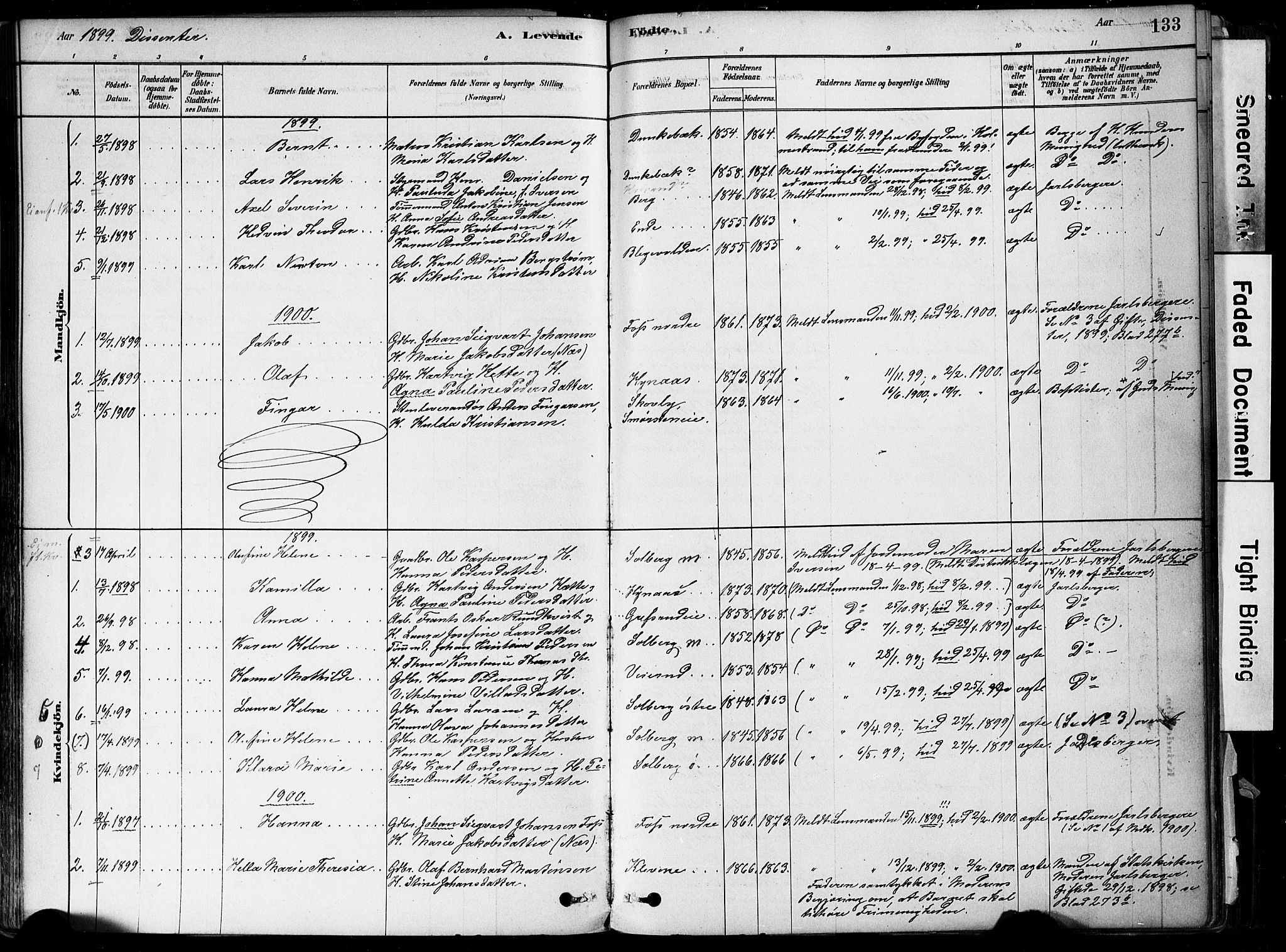 Botne kirkebøker, SAKO/A-340/F/Fa/L0007: Parish register (official) no. I 7, 1878-1910, p. 133