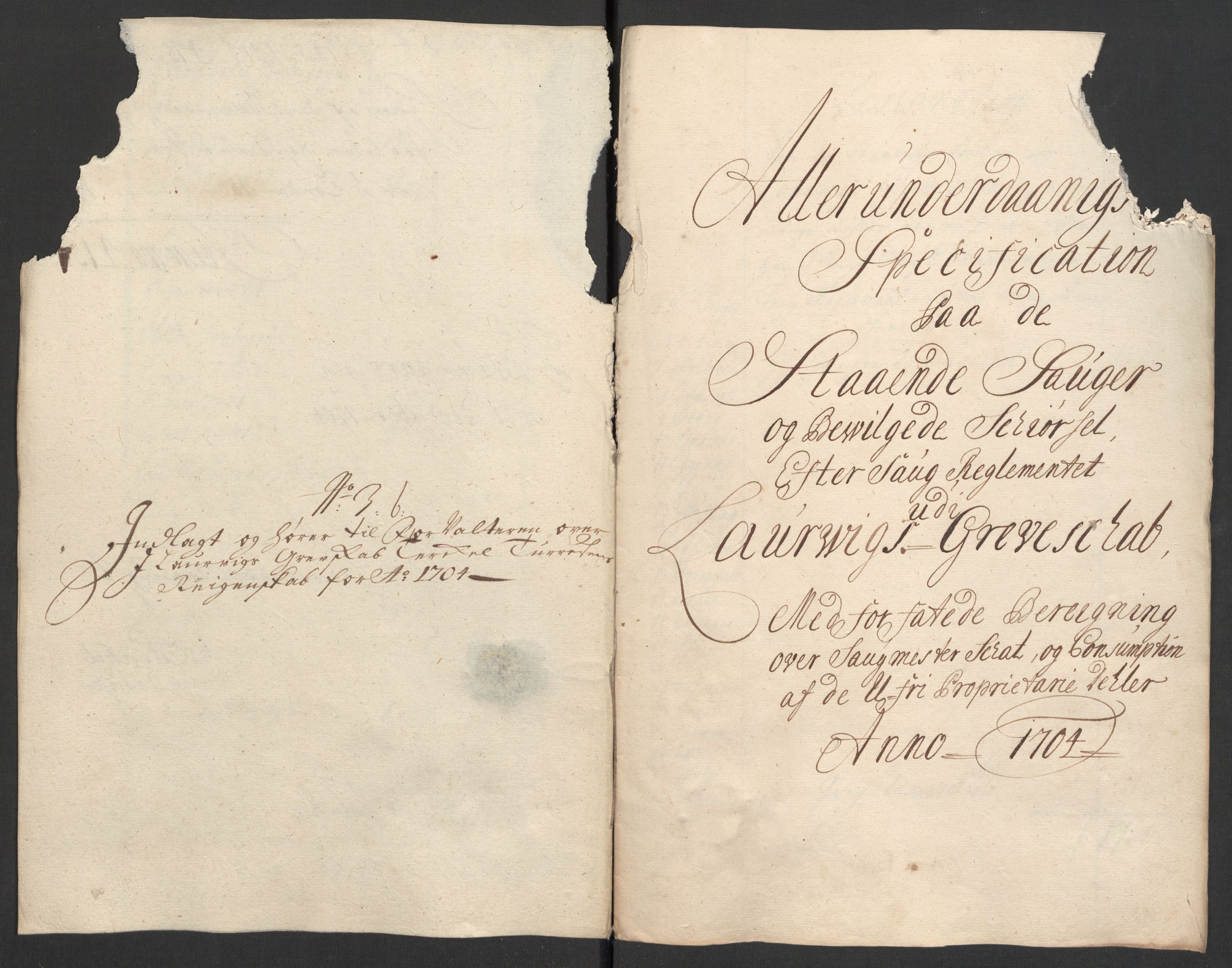Rentekammeret inntil 1814, Reviderte regnskaper, Fogderegnskap, RA/EA-4092/R33/L1978: Fogderegnskap Larvik grevskap, 1704-1705, p. 145