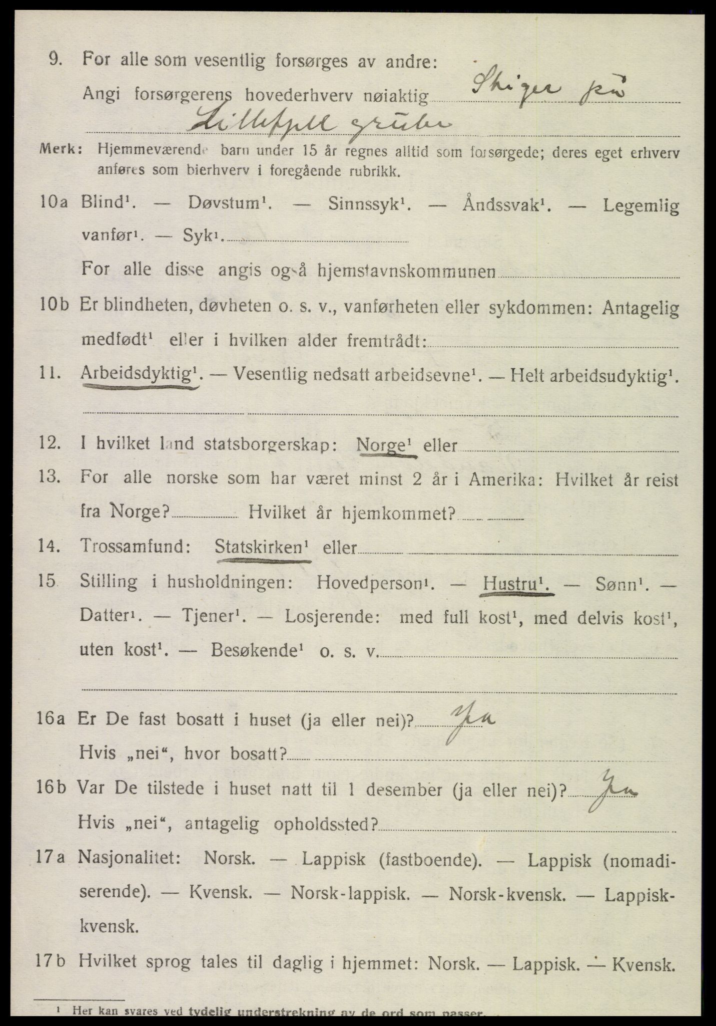 SAT, 1920 census for Meråker, 1920, p. 4607