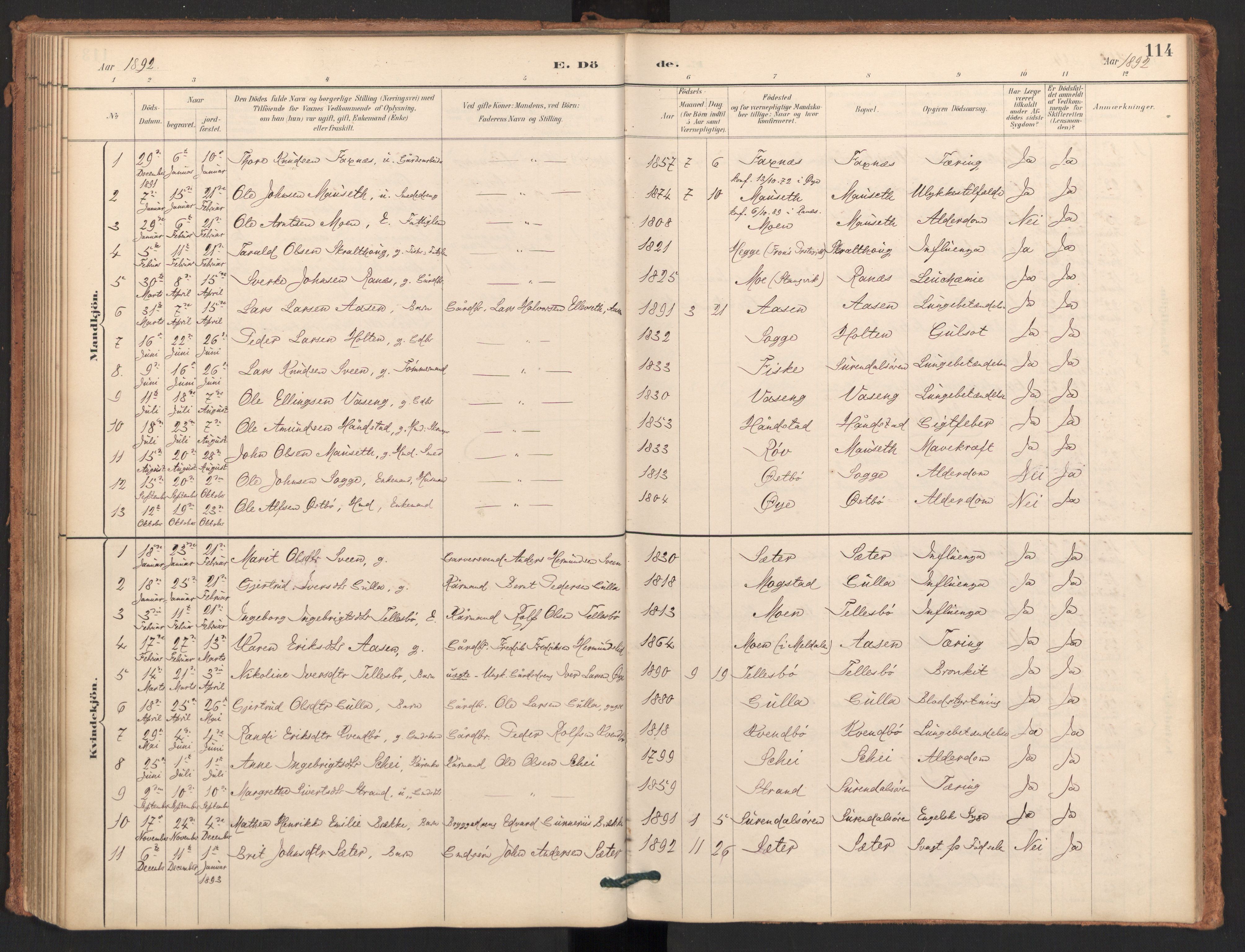 Ministerialprotokoller, klokkerbøker og fødselsregistre - Møre og Romsdal, AV/SAT-A-1454/596/L1056: Parish register (official) no. 596A01, 1885-1900, p. 114