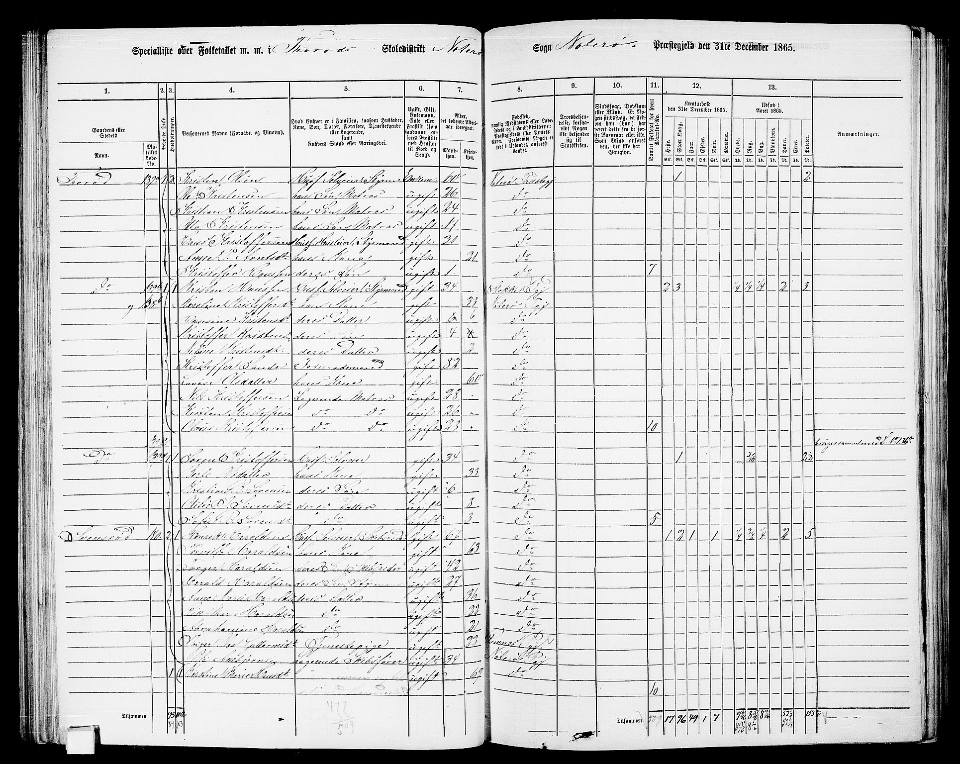 RA, 1865 census for Nøtterøy, 1865, p. 109