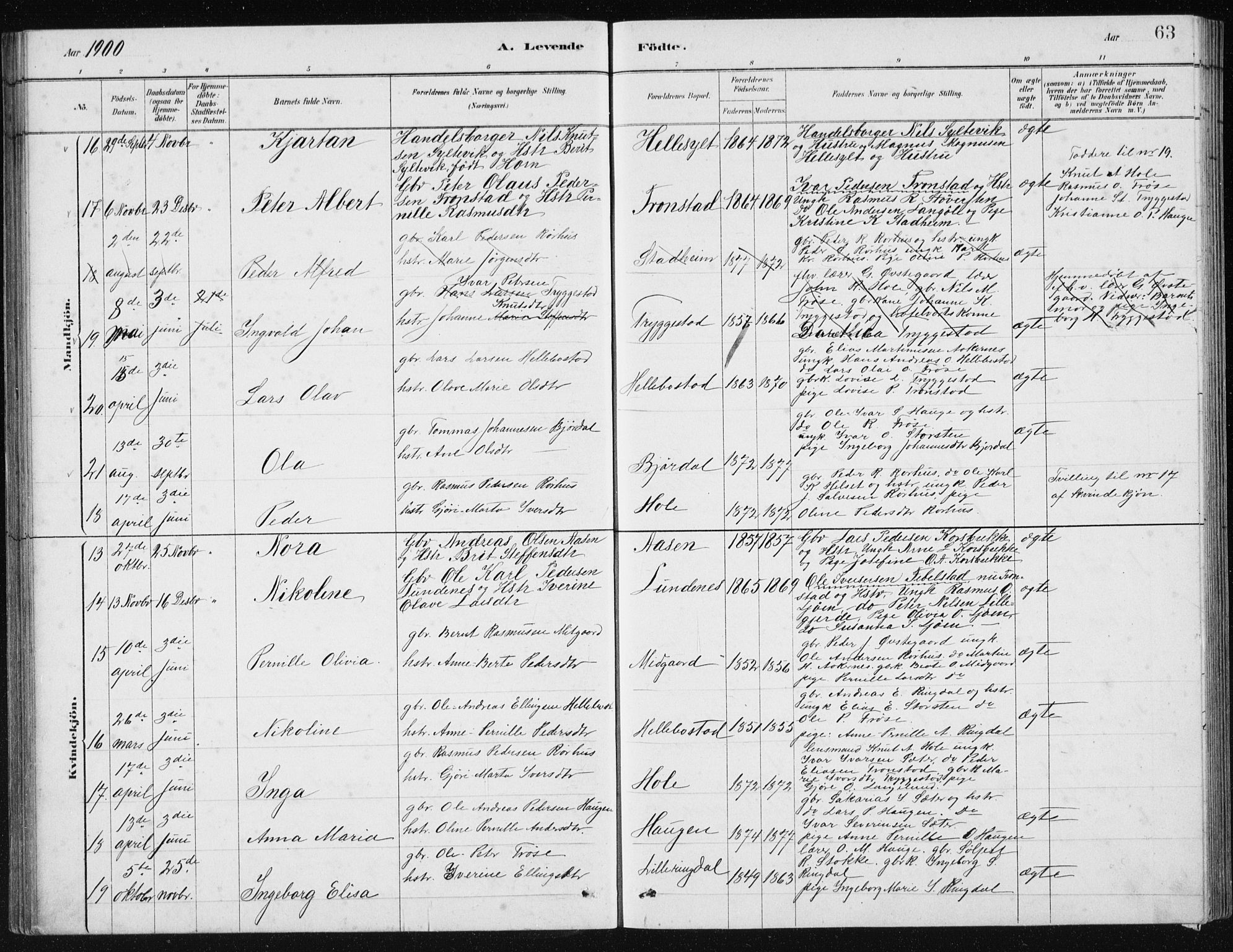 Ministerialprotokoller, klokkerbøker og fødselsregistre - Møre og Romsdal, AV/SAT-A-1454/517/L0230: Parish register (copy) no. 517C03, 1879-1912, p. 63