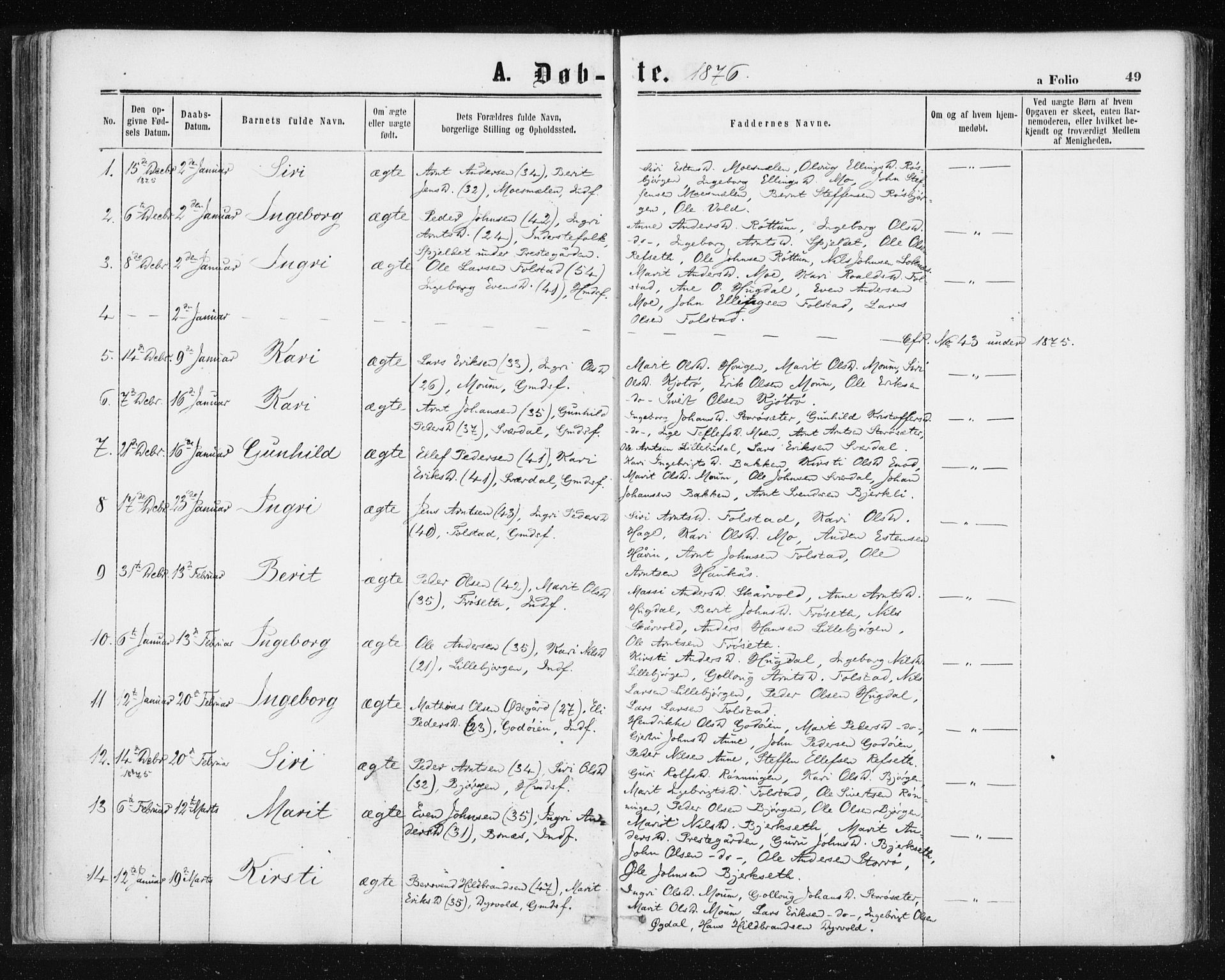 Ministerialprotokoller, klokkerbøker og fødselsregistre - Sør-Trøndelag, SAT/A-1456/687/L1001: Parish register (official) no. 687A07, 1863-1878, p. 49