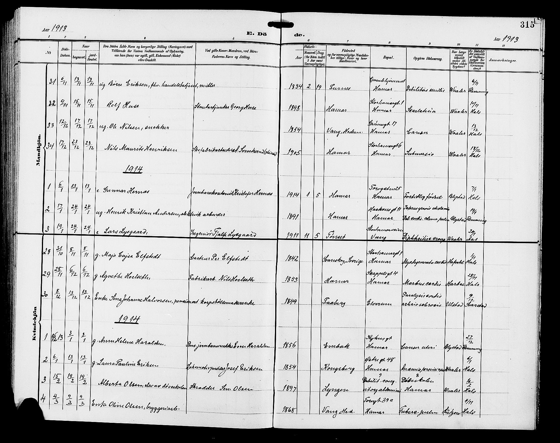 Hamar prestekontor, SAH/DOMPH-002/H/Ha/Hab/L0001: Parish register (copy) no. 1, 1899-1914, p. 315