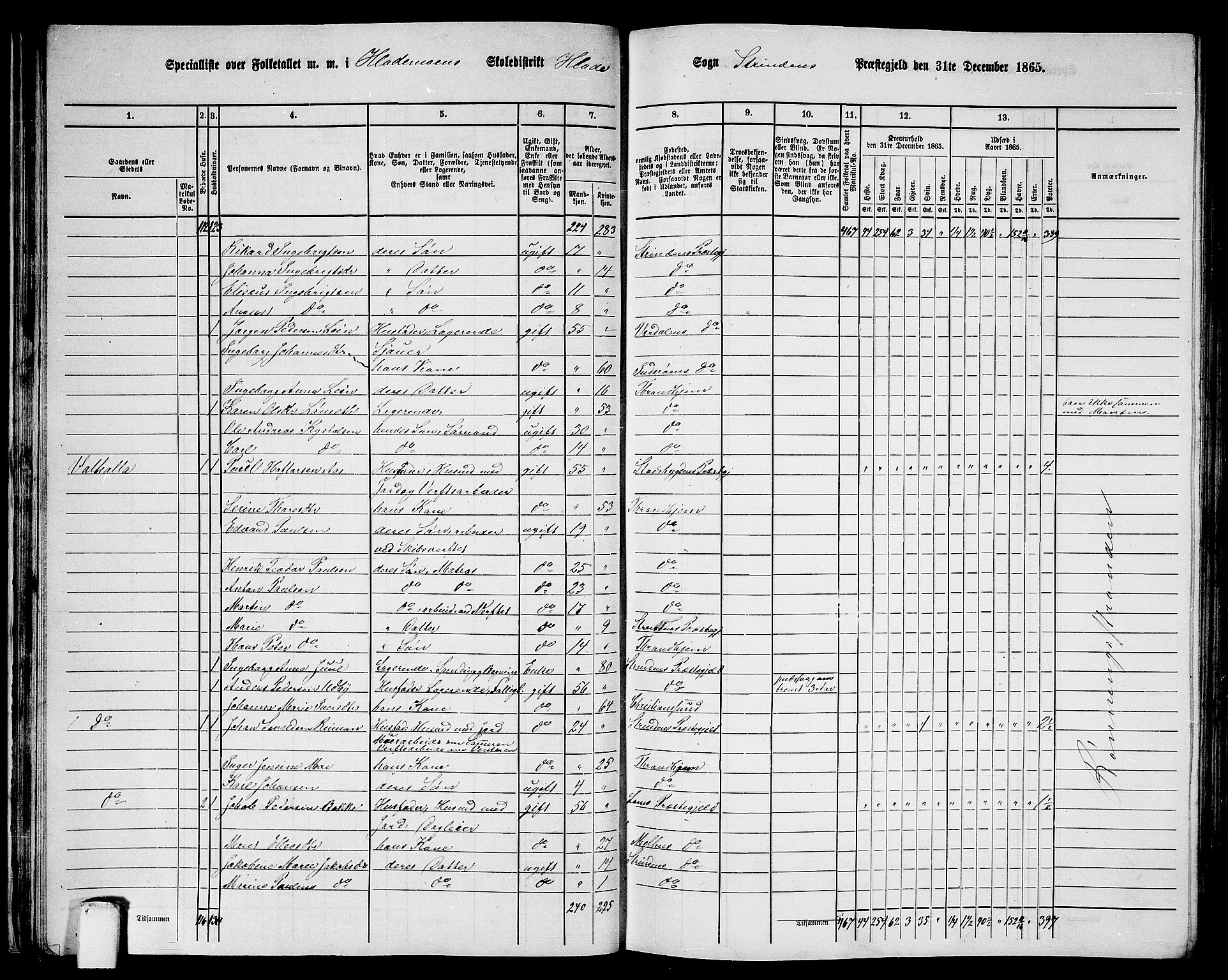 RA, 1865 census for Strinda, 1865, p. 34