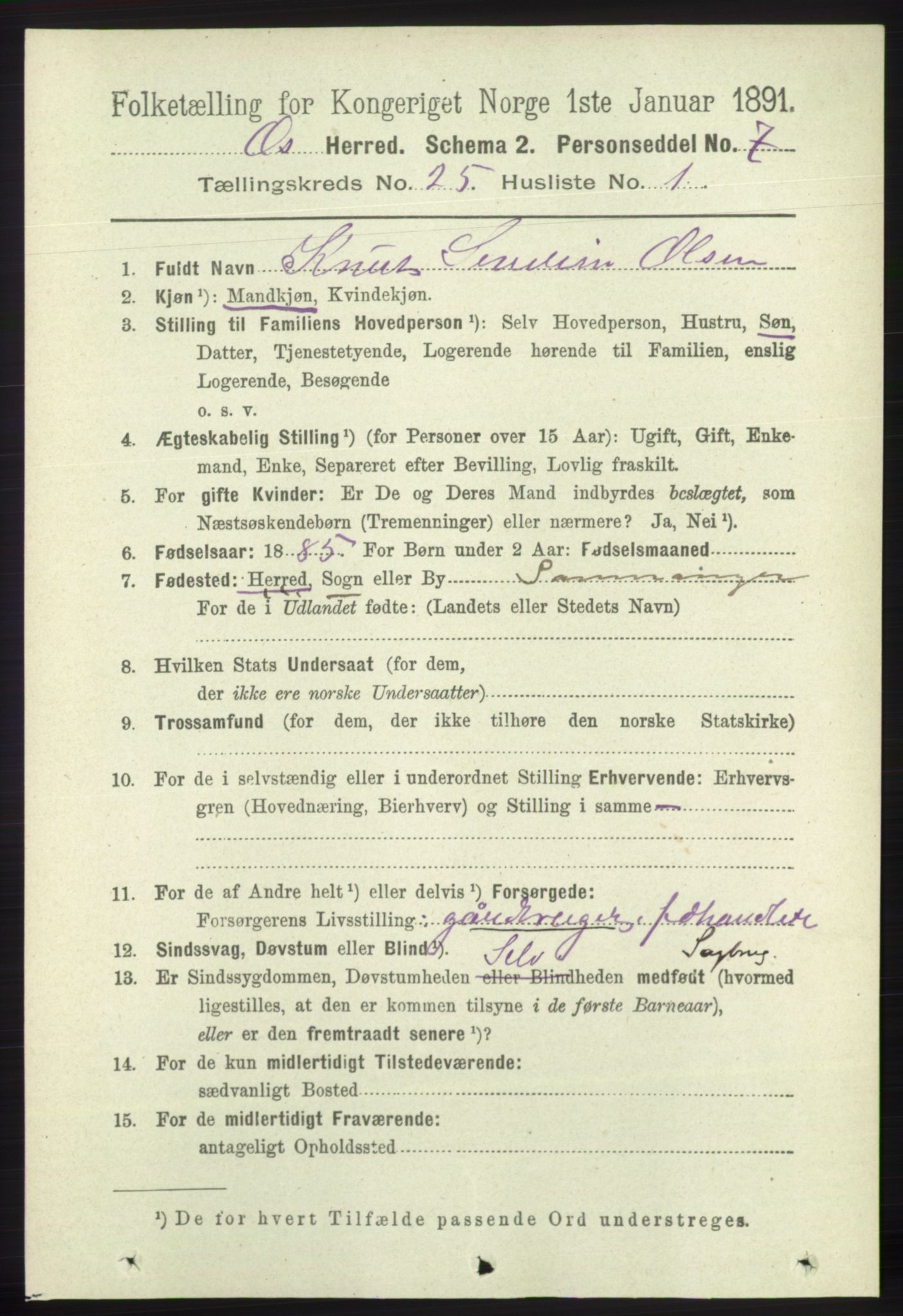 RA, 1891 census for 1243 Os, 1891, p. 5355