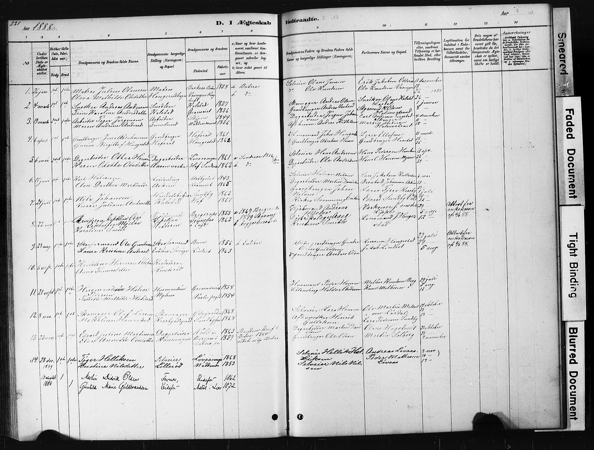 Hof kirkebøker, AV/SAKO-A-64/G/Ga/L0004: Parish register (copy) no. I 4, 1878-1930, p. 221