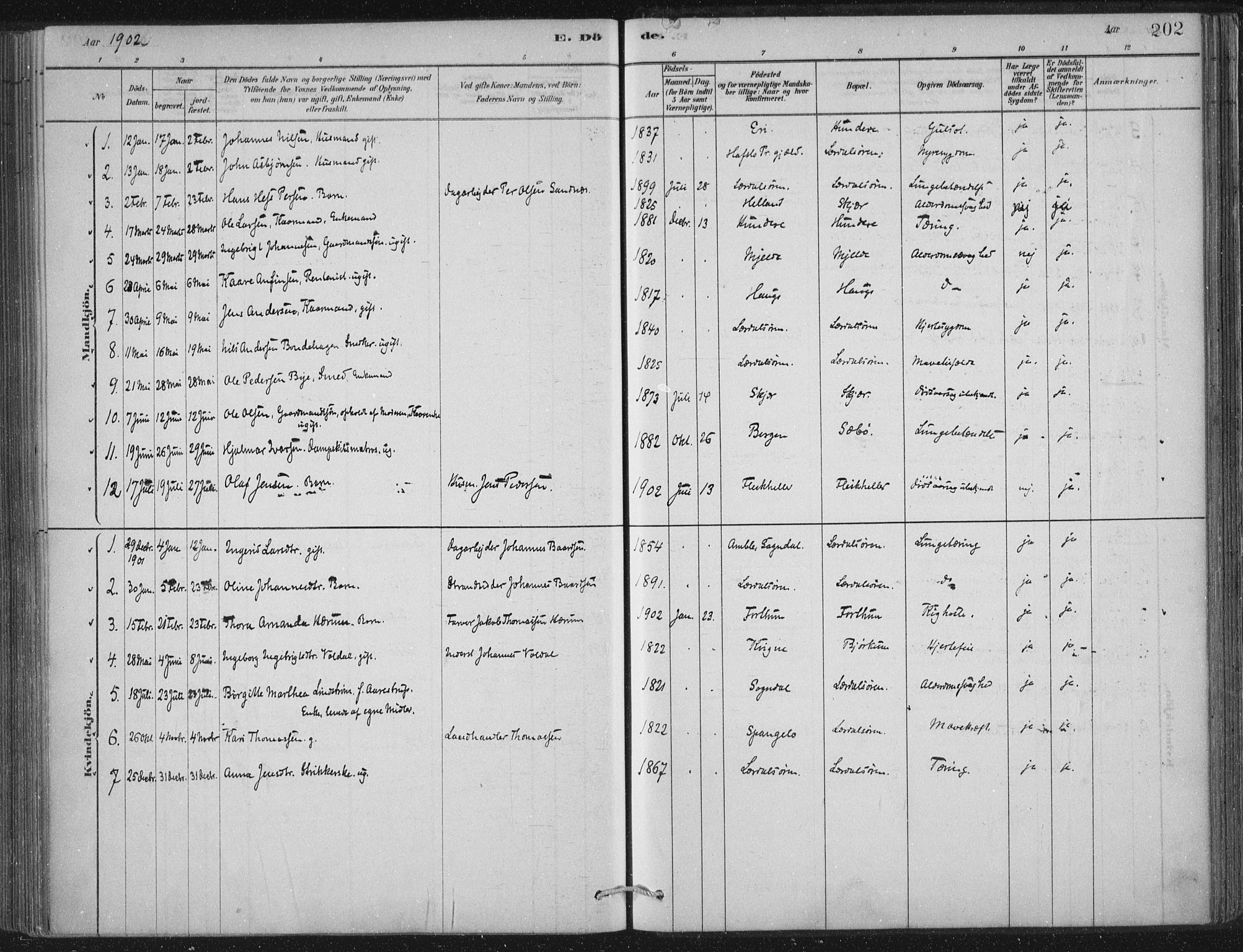 Lærdal sokneprestembete, SAB/A-81201: Parish register (official) no. D  1, 1878-1908, p. 202