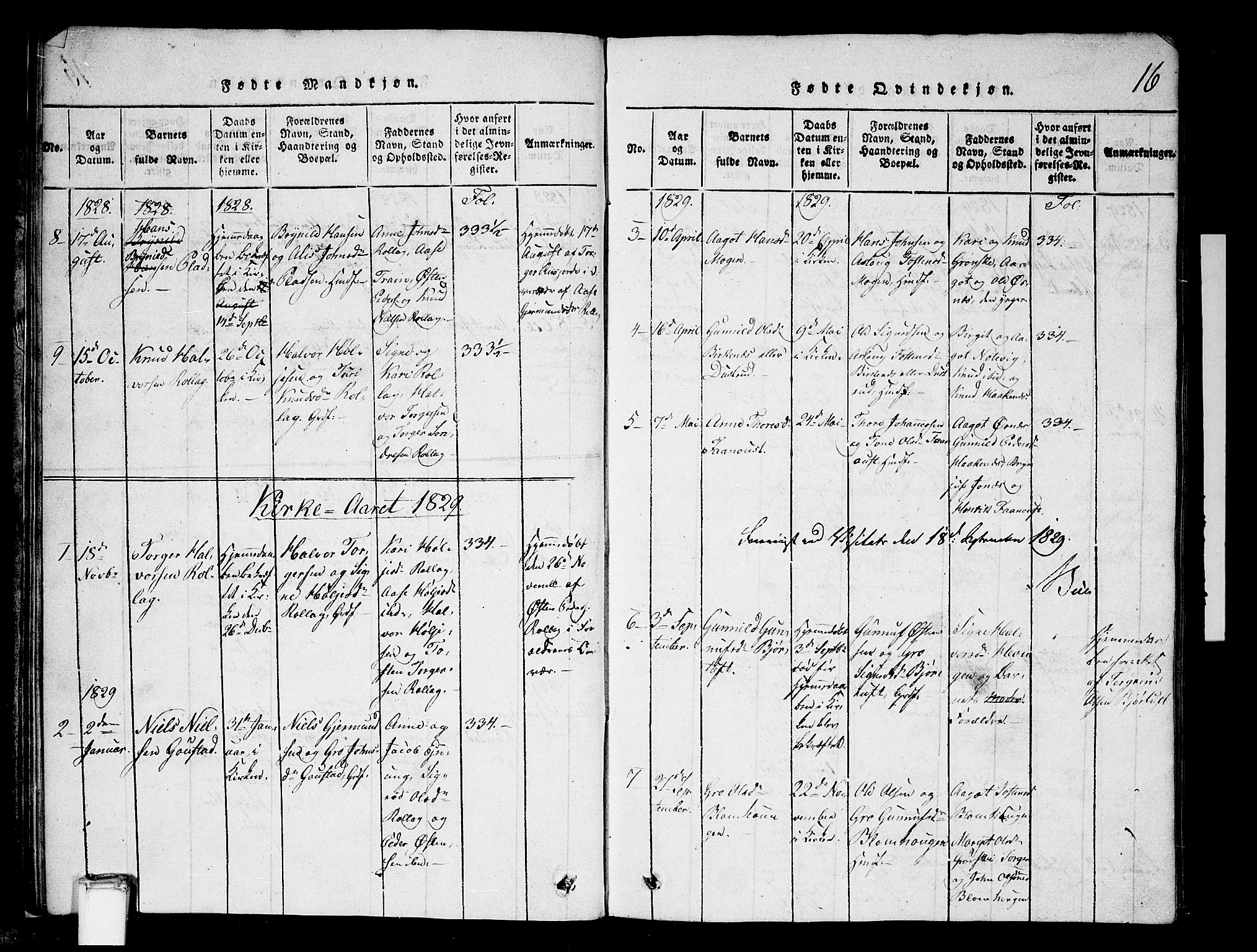 Tinn kirkebøker, SAKO/A-308/G/Gb/L0001: Parish register (copy) no. II 1 /1, 1815-1850, p. 16