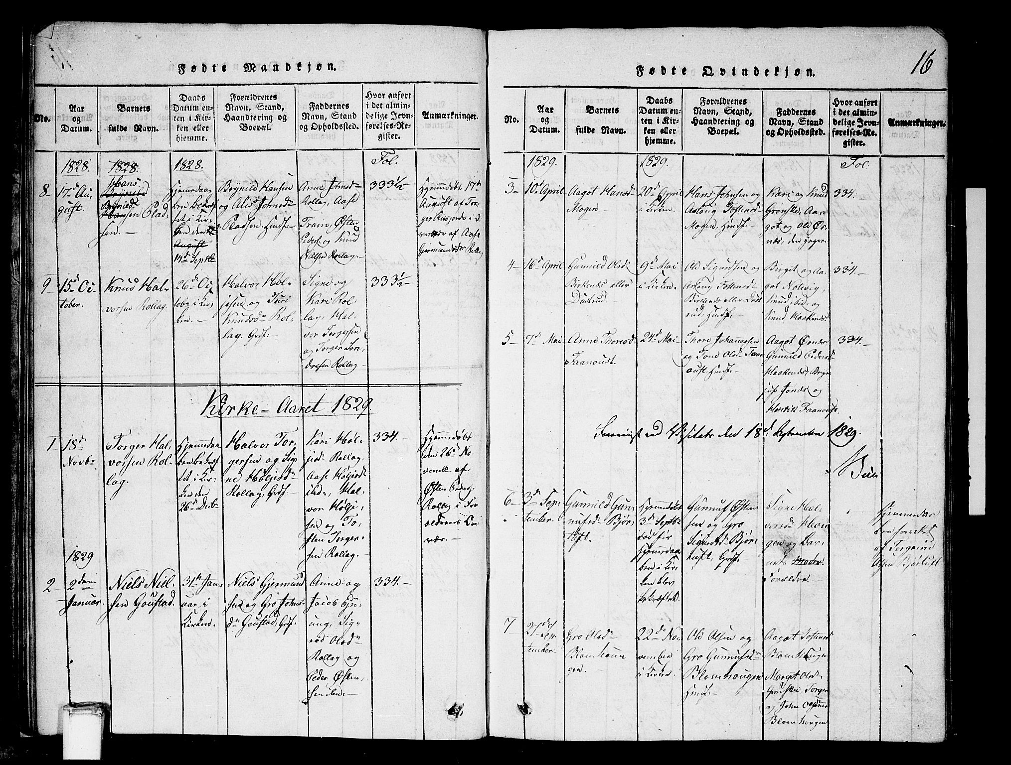 Tinn kirkebøker, AV/SAKO-A-308/G/Gb/L0001: Parish register (copy) no. II 1 /1, 1815-1850, p. 16