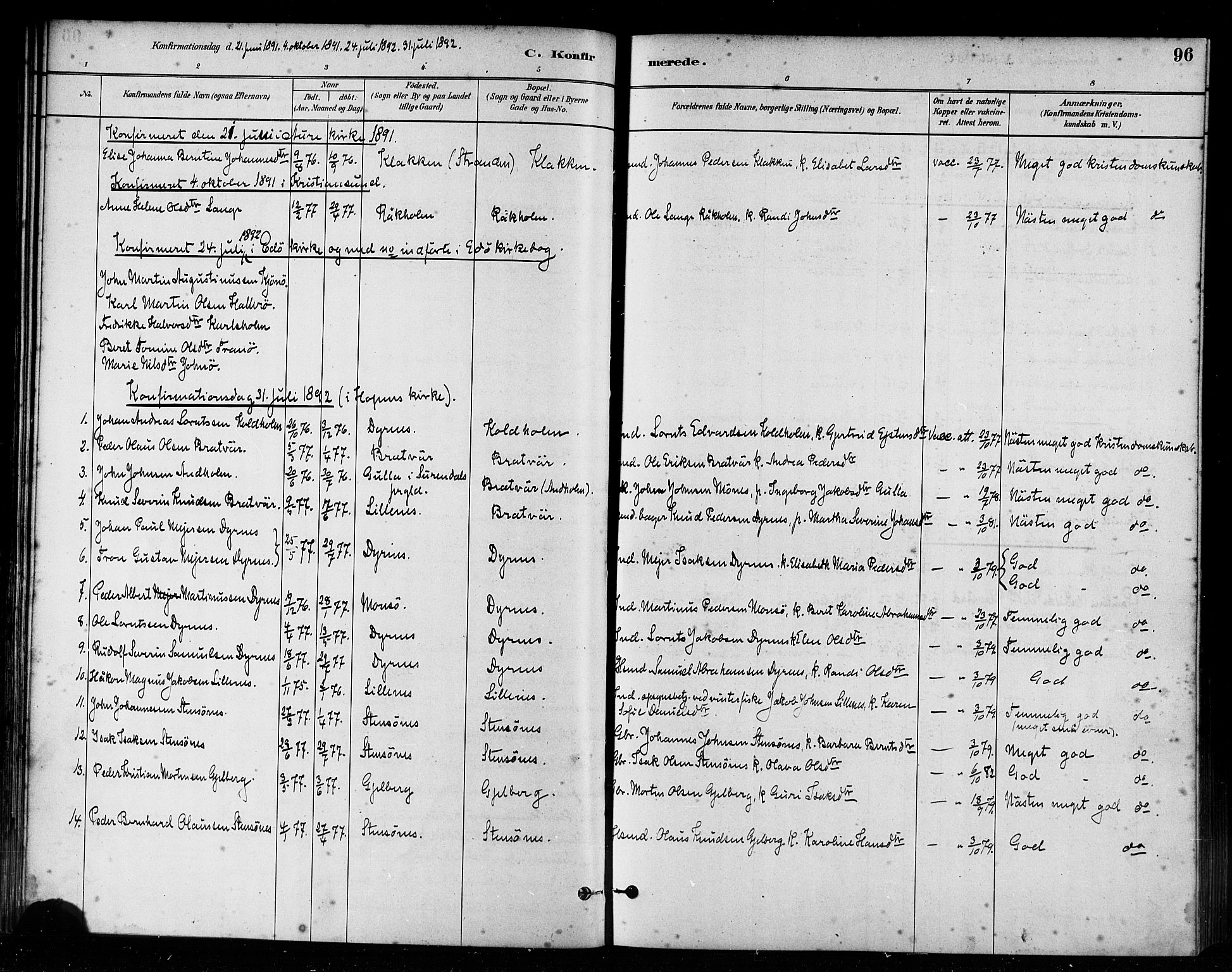 Ministerialprotokoller, klokkerbøker og fødselsregistre - Møre og Romsdal, SAT/A-1454/582/L0947: Parish register (official) no. 582A01, 1880-1900, p. 96
